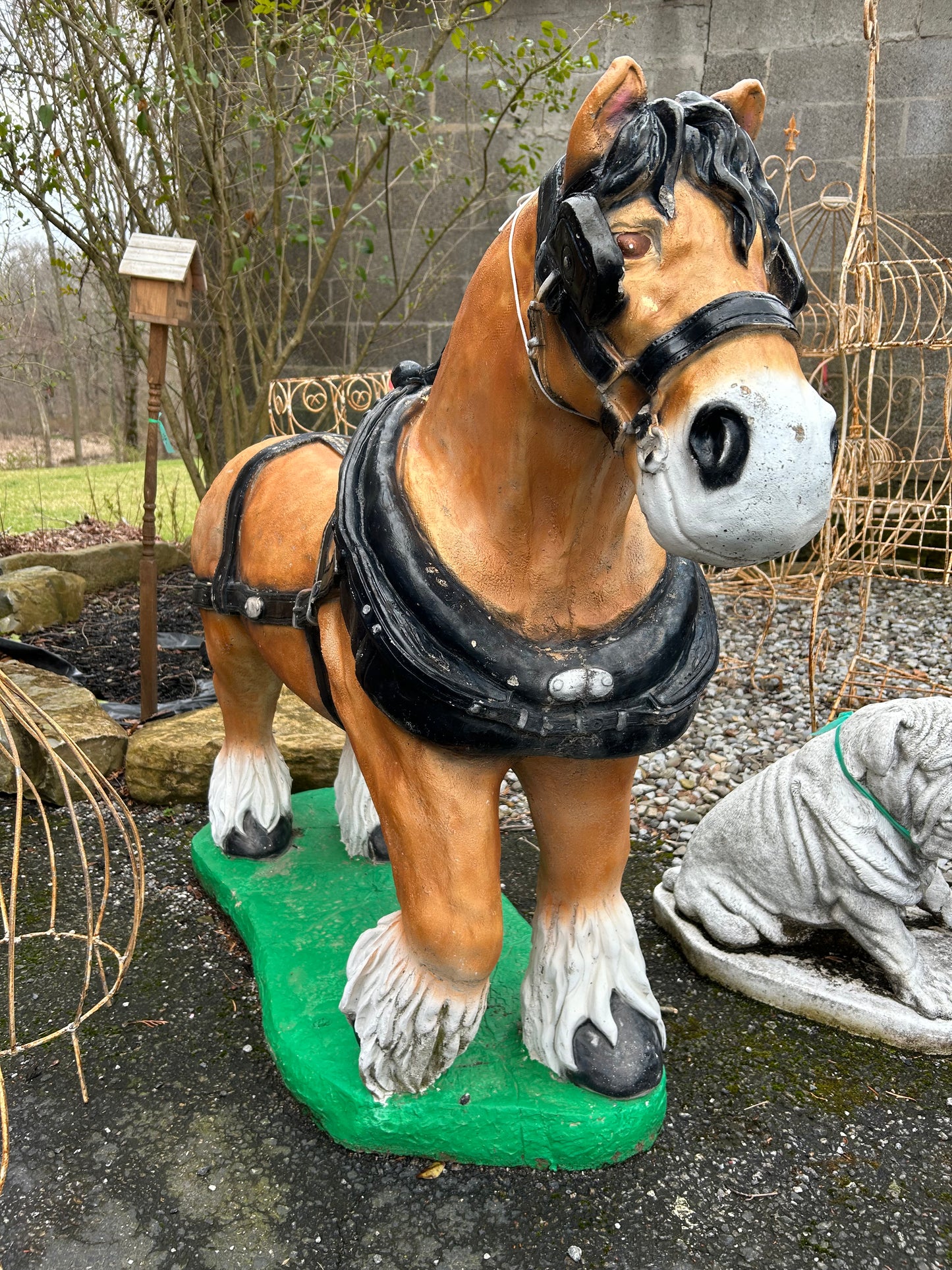 Clydesdale Horse