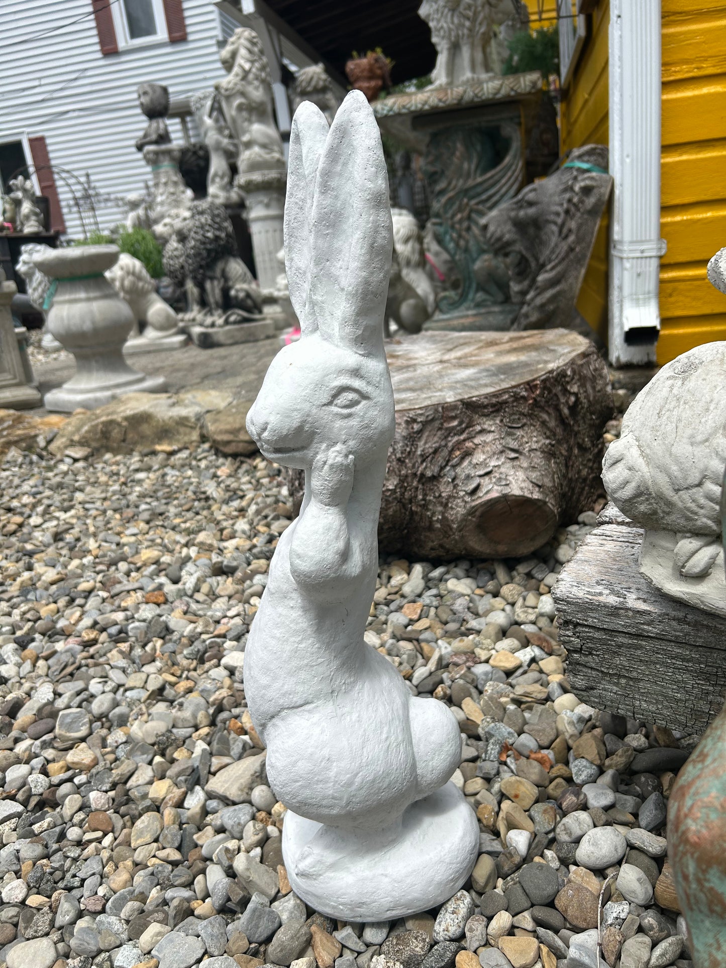 Silly Rabbit