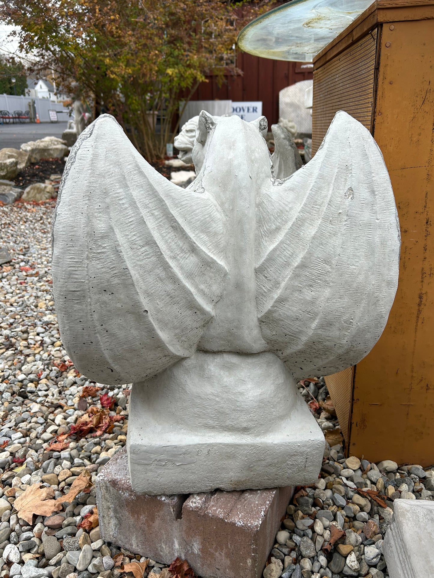 Smooth Winged Gargoyle