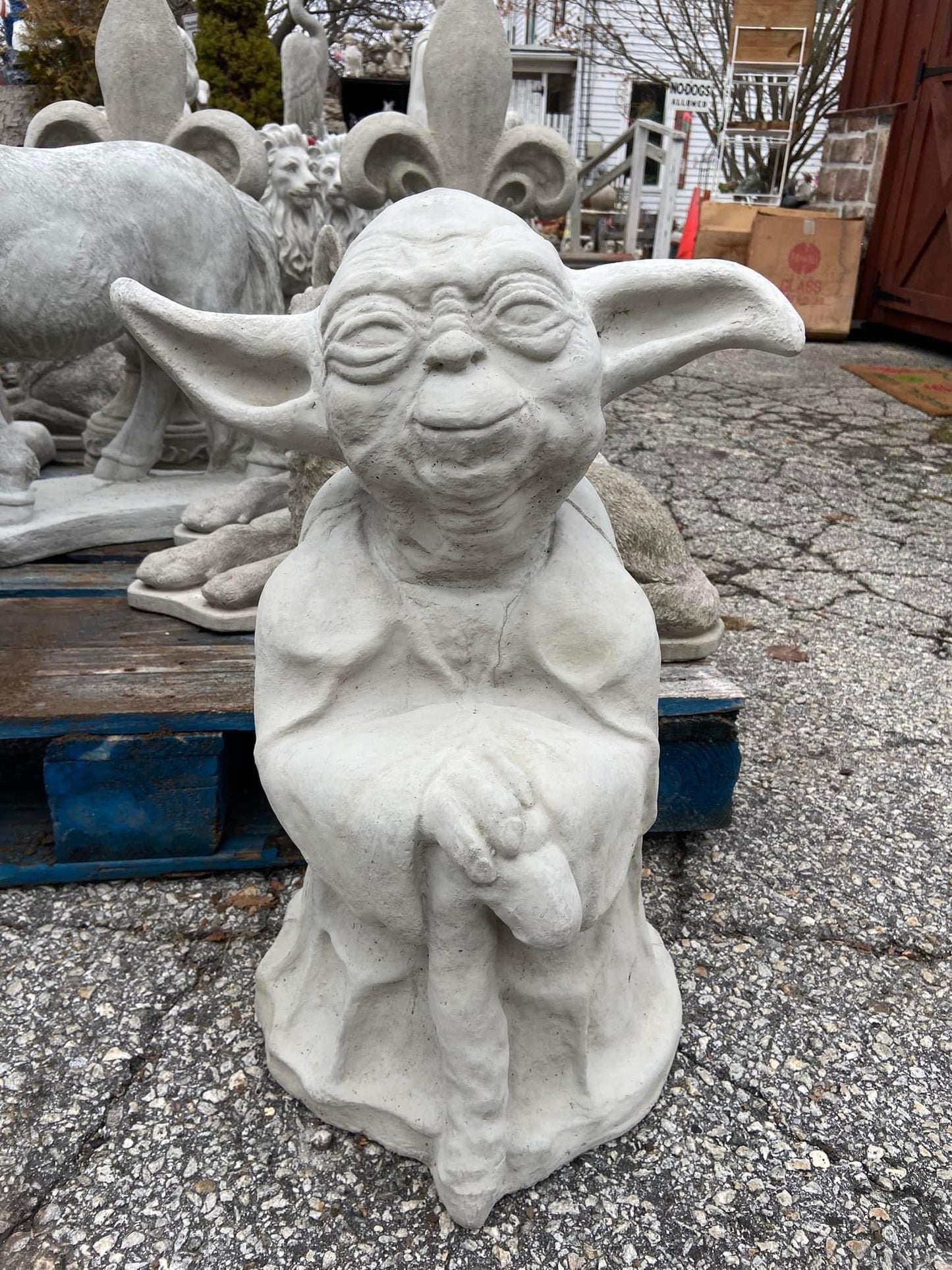 Yoda