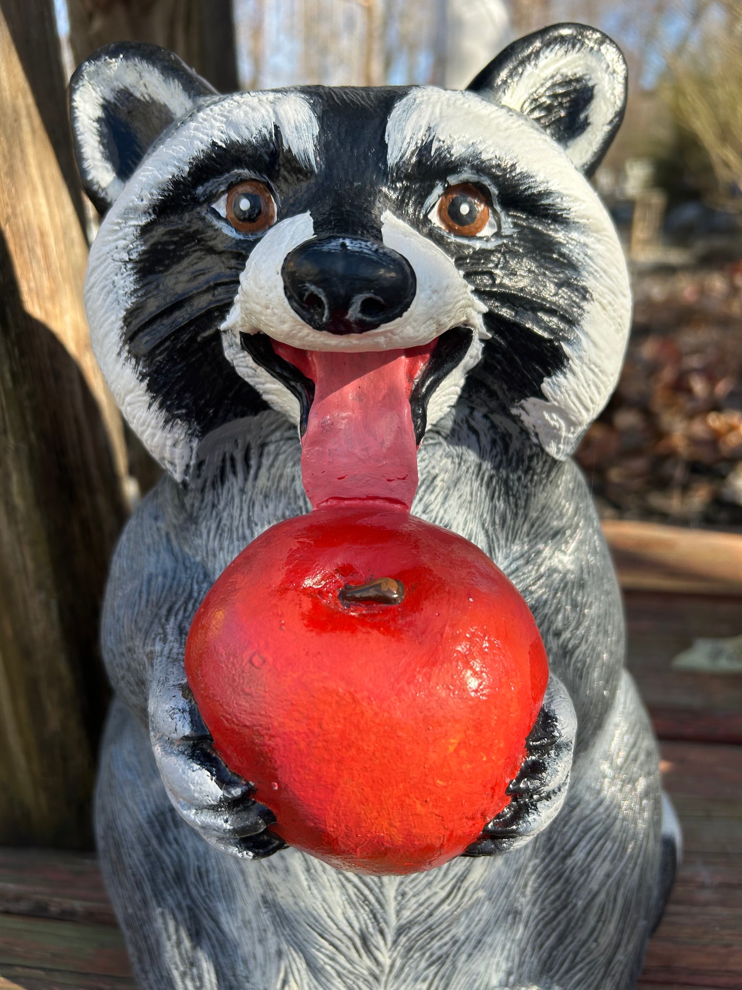 Raccoon with Apple