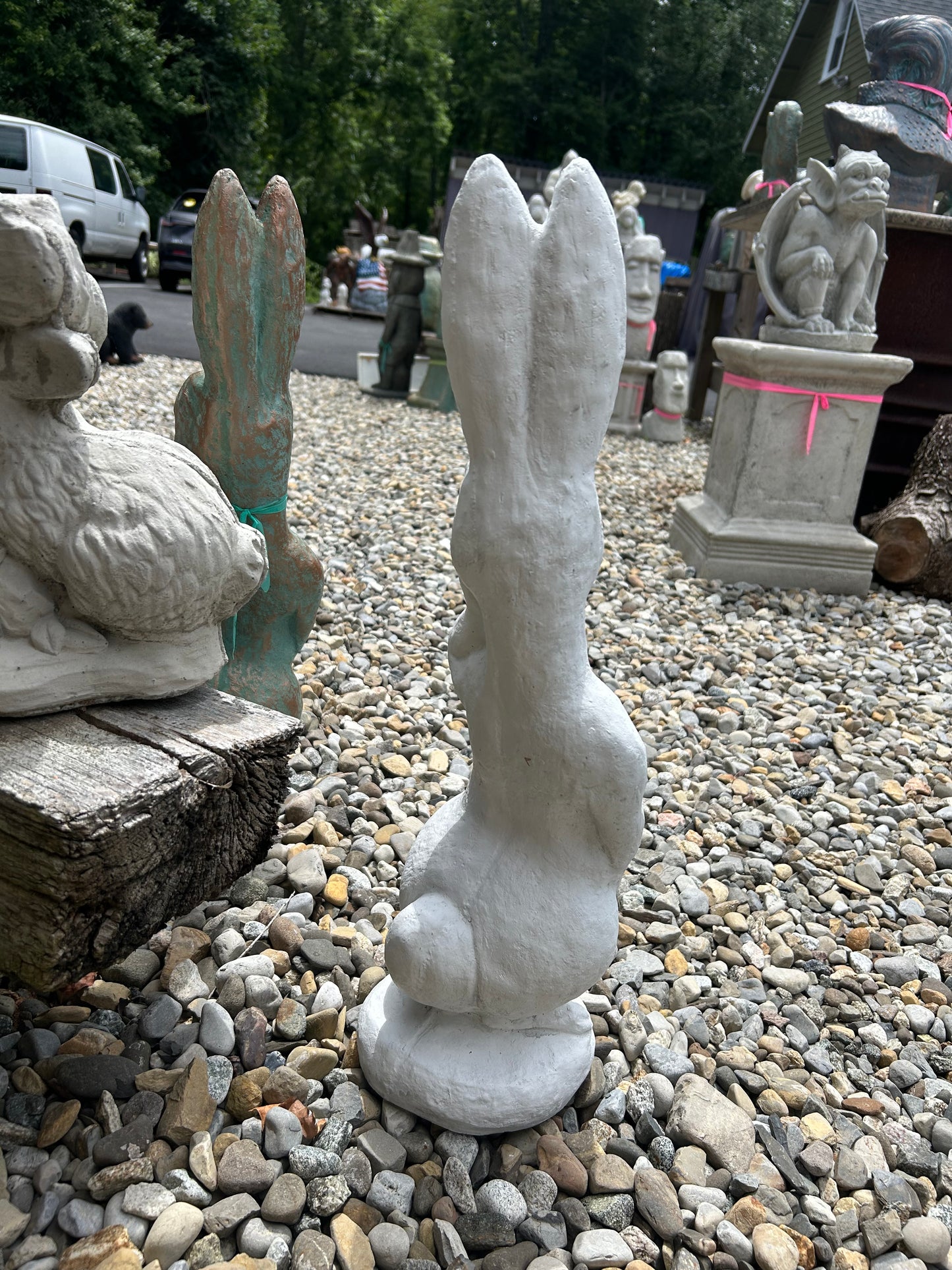 Silly Rabbit