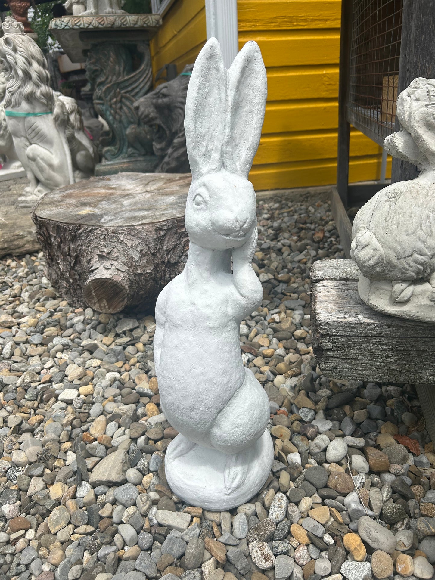 Silly Rabbit