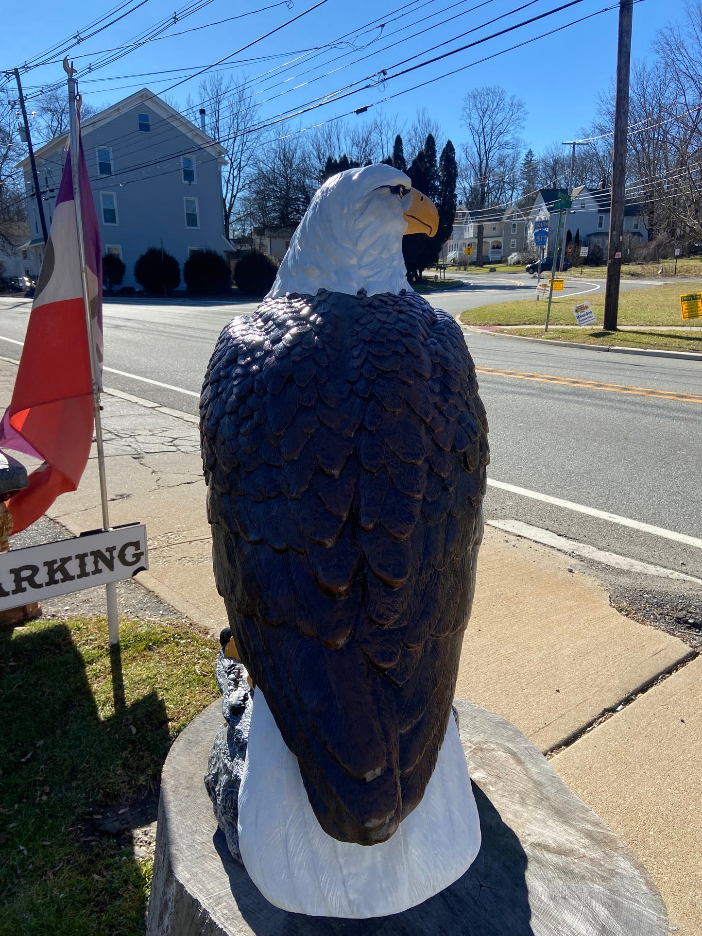 X-Large Eagle Wings Down