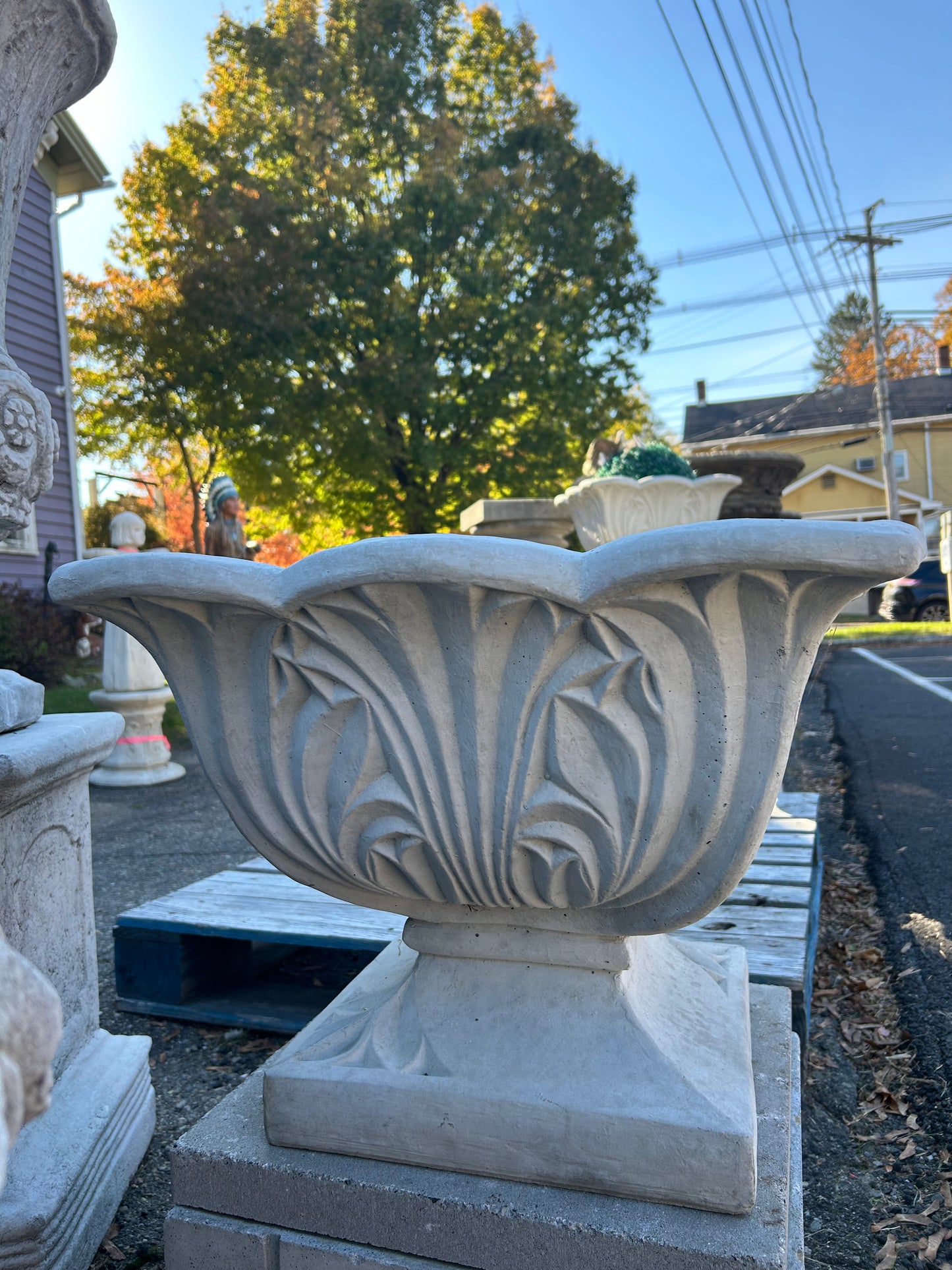 Medium Canadian Planter