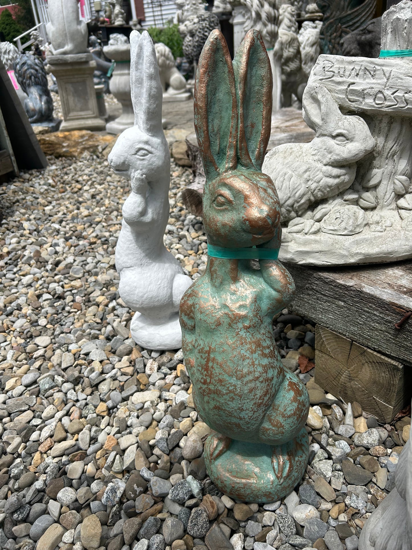 Silly Rabbit