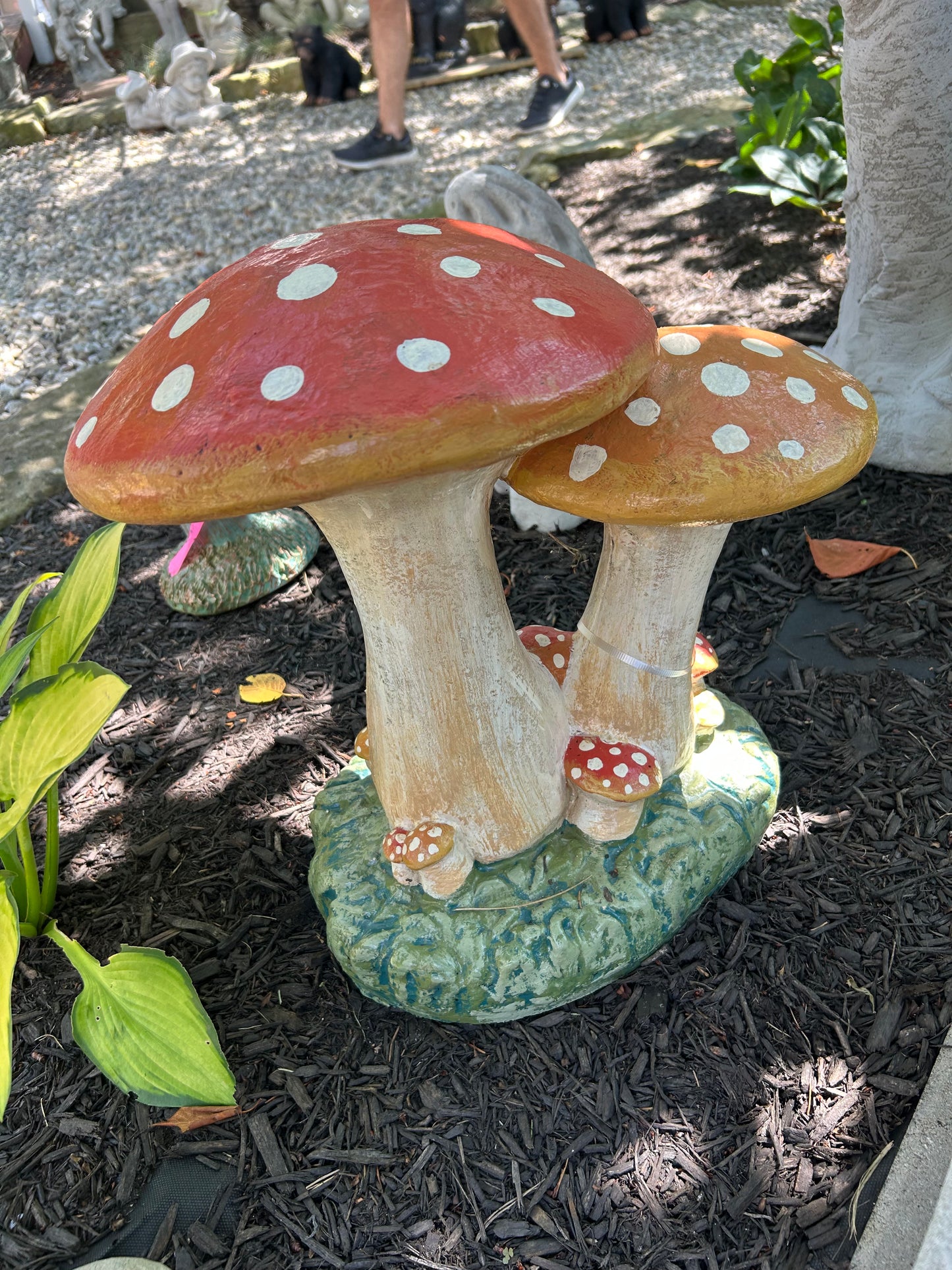 Double Mushroom Family