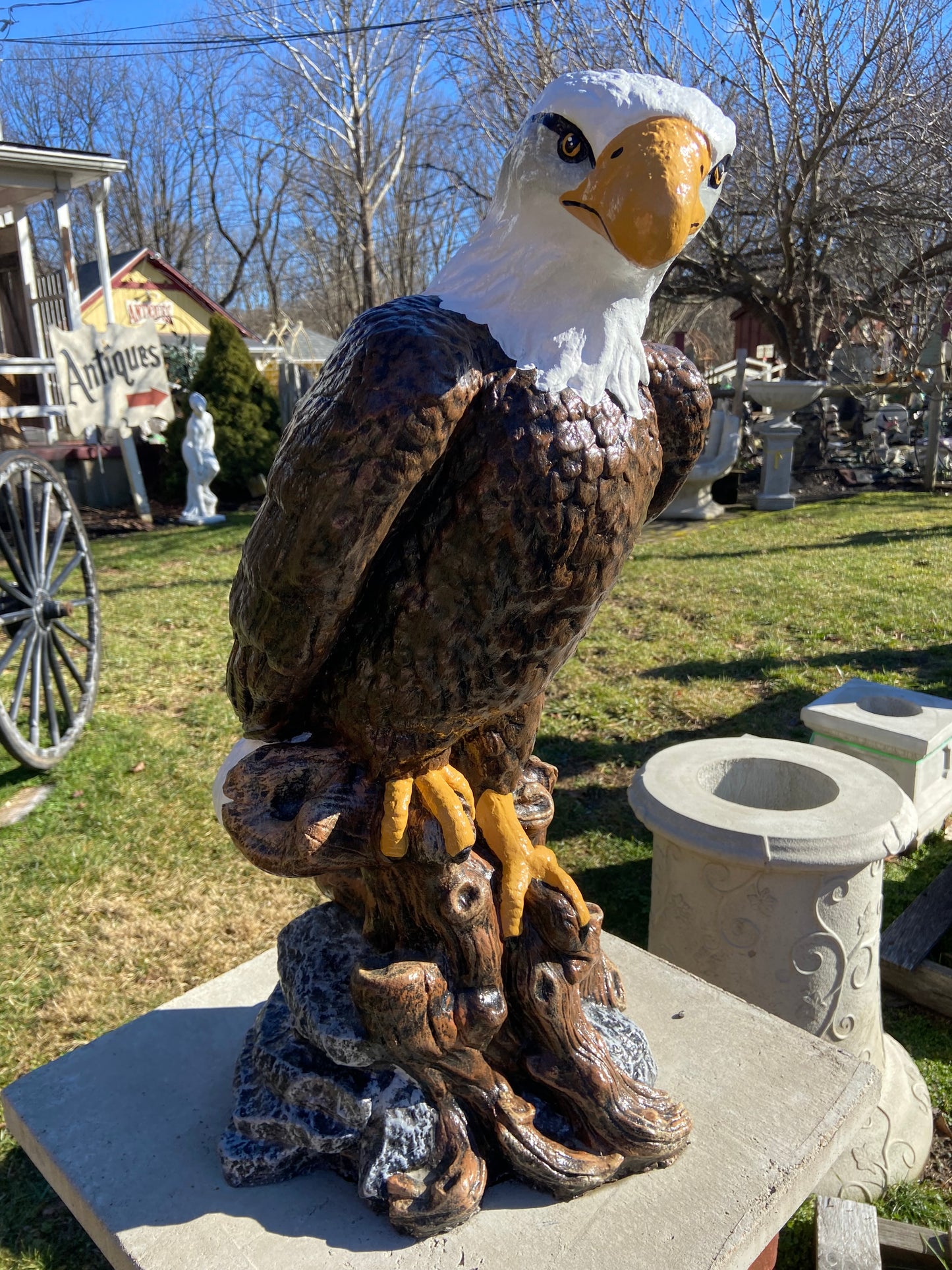 Large Eagle on Stump