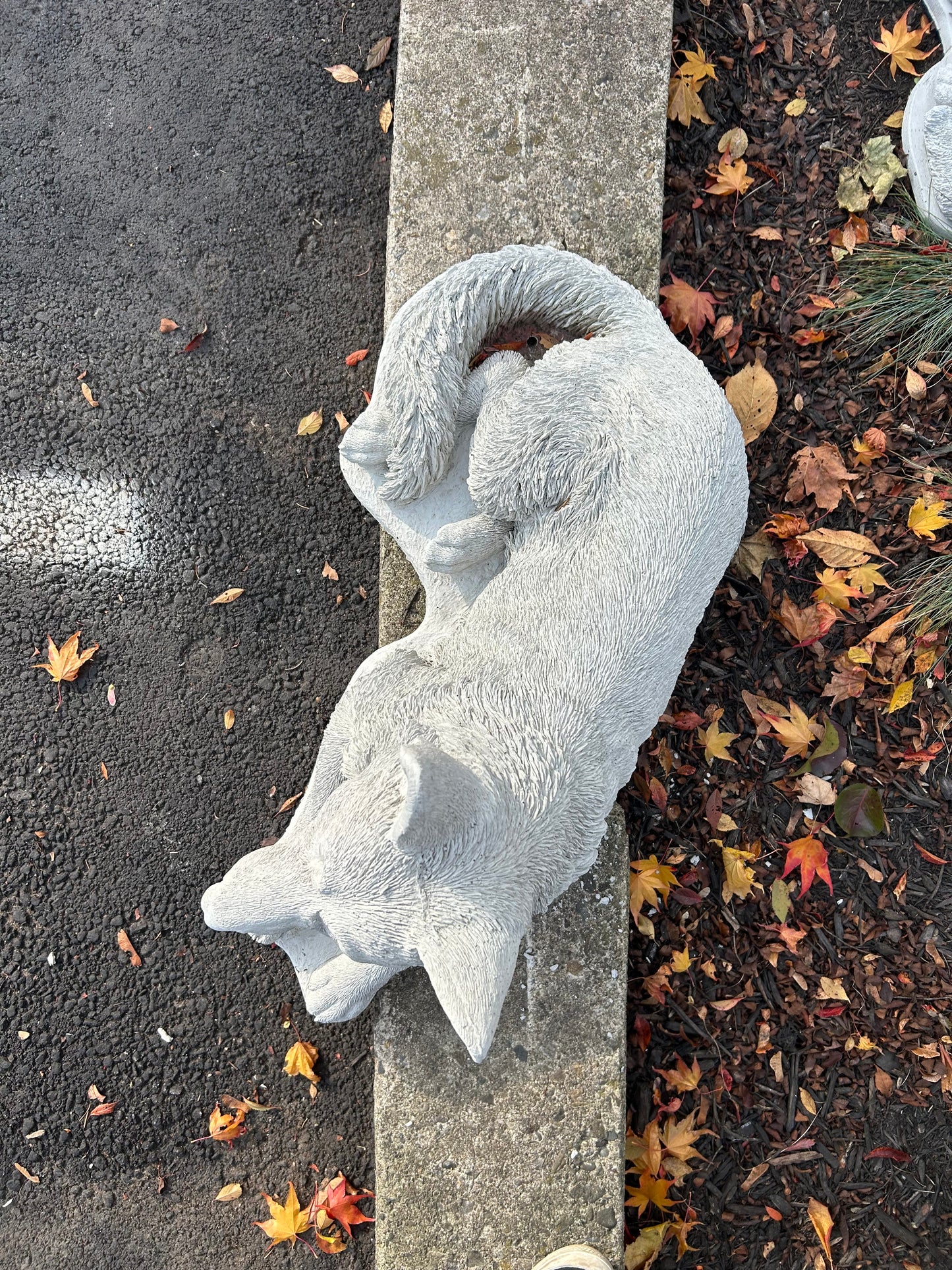 Large Laying German Shepard