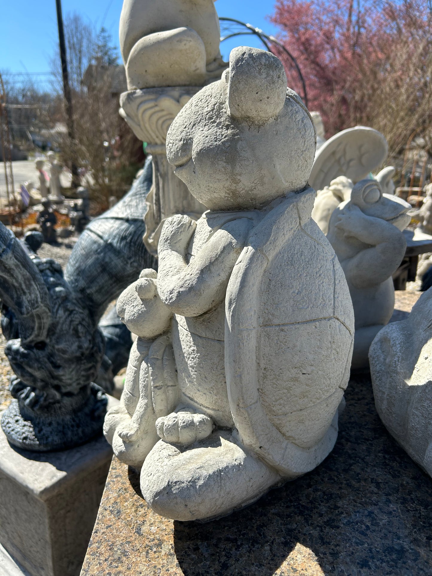 Zen Turtle with Baby