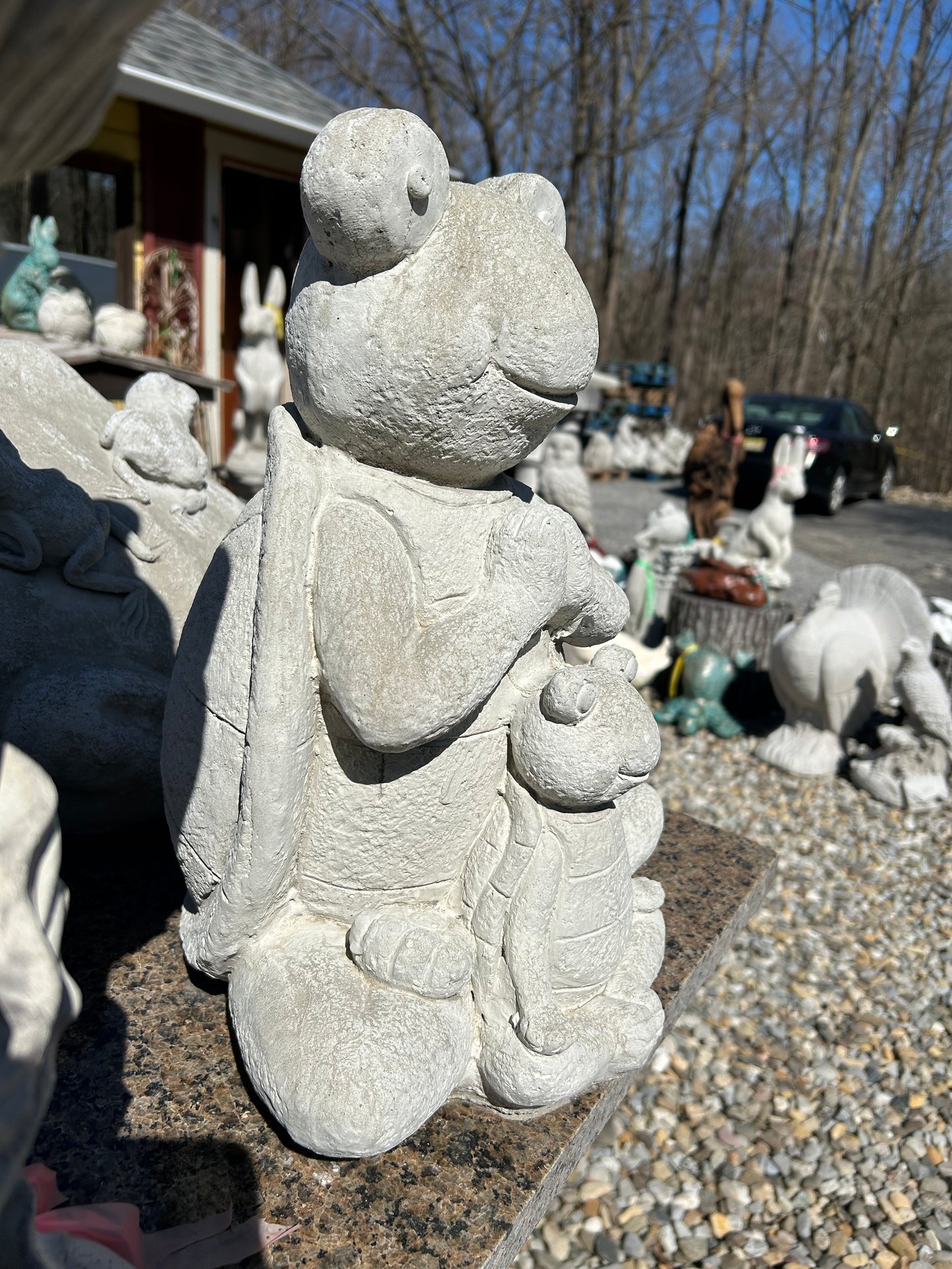 Zen Turtle with Baby