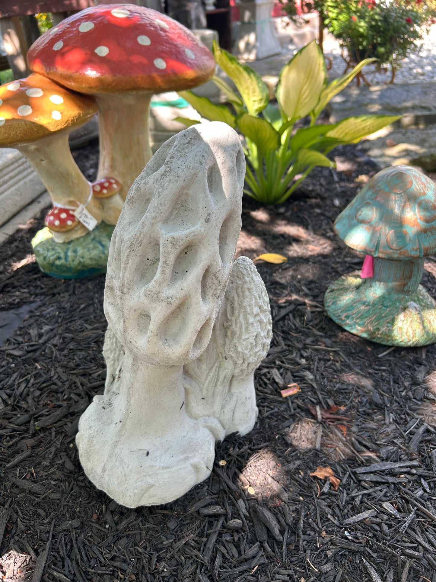 Morel Mushroom Concrete Statue
