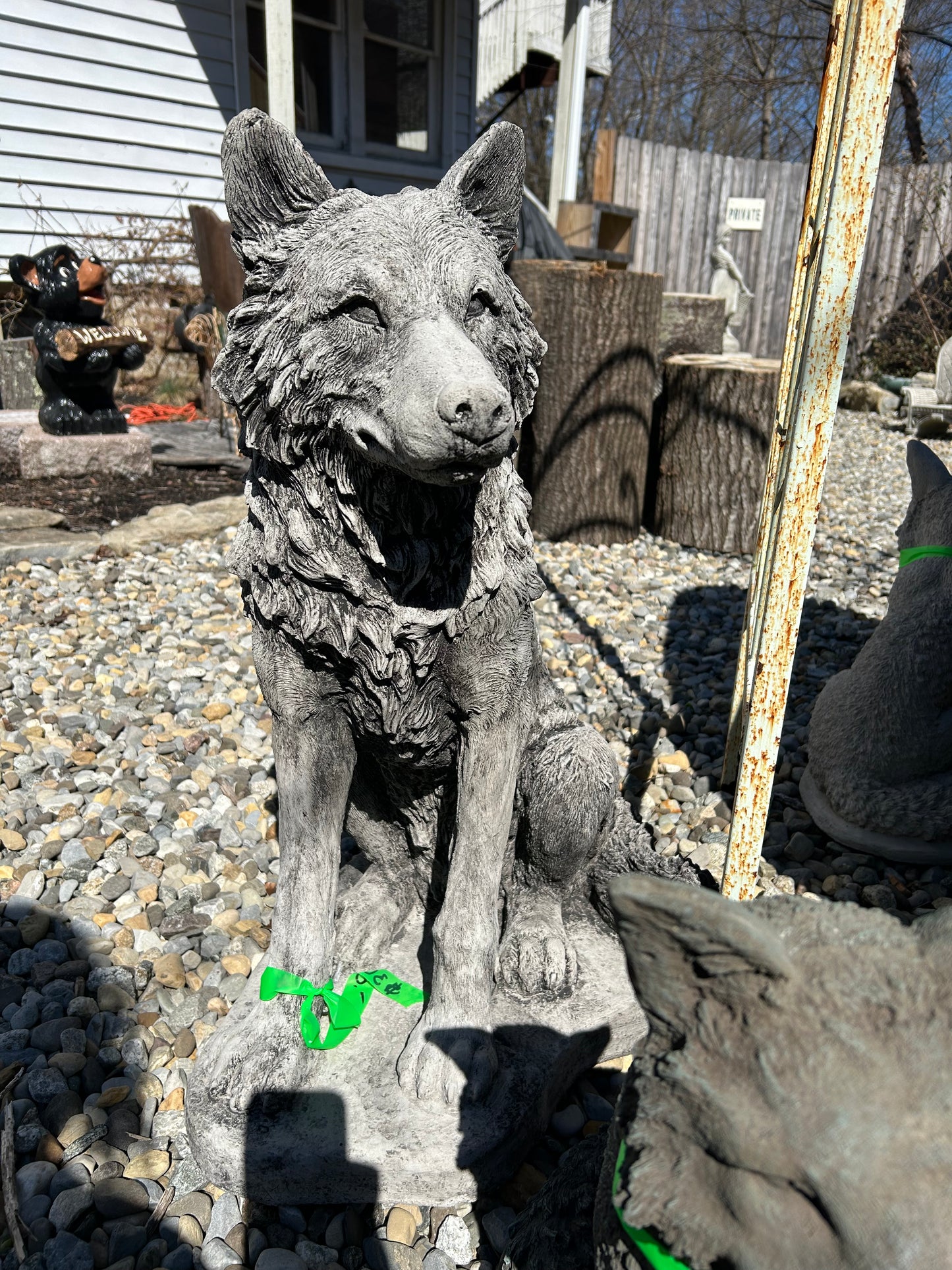 Sitting Wolf