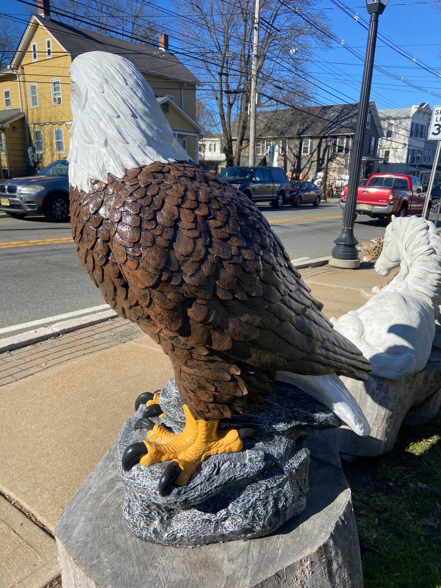 X-Large Eagle Wings Down