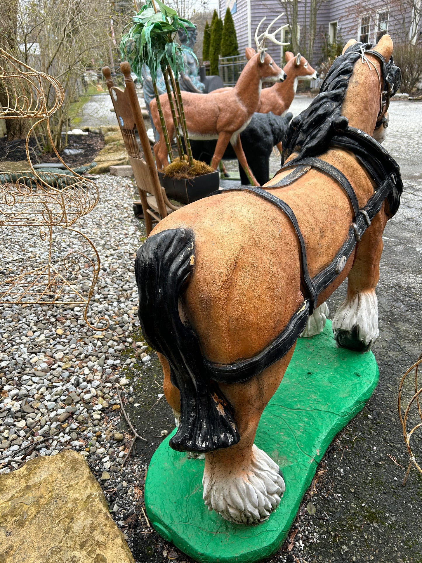 Clydesdale Horse