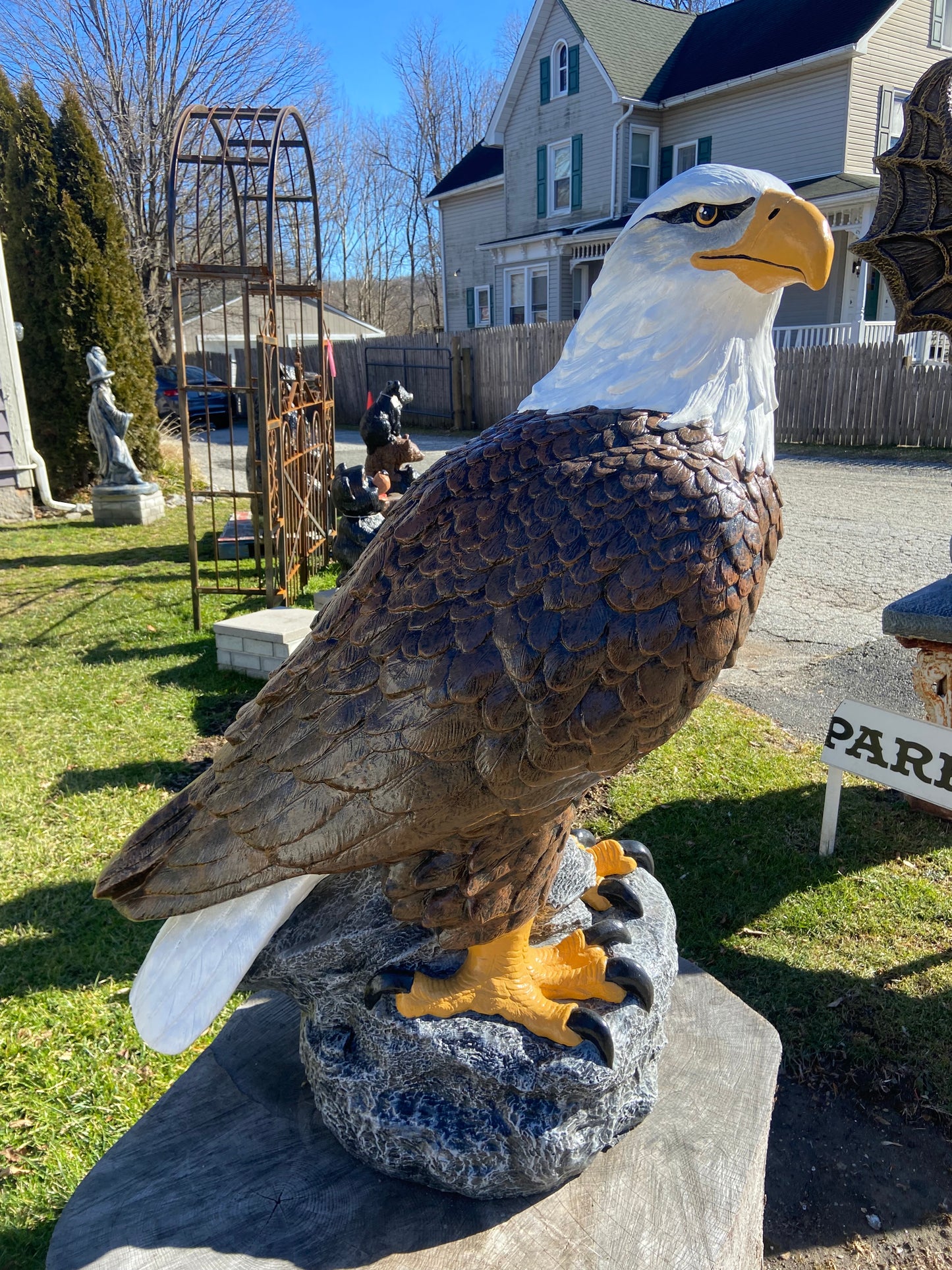 X-Large Eagle Wings Down