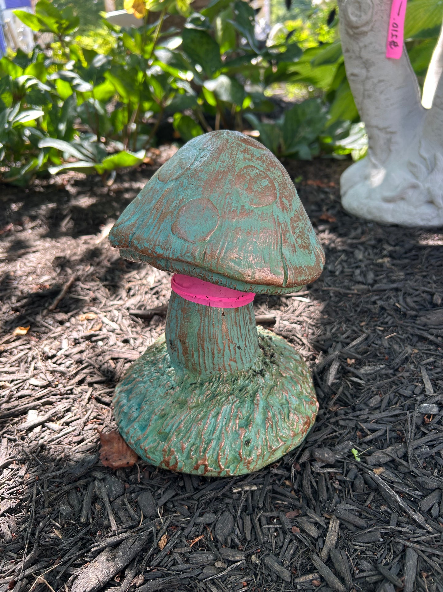 Small Dot Mushrooms