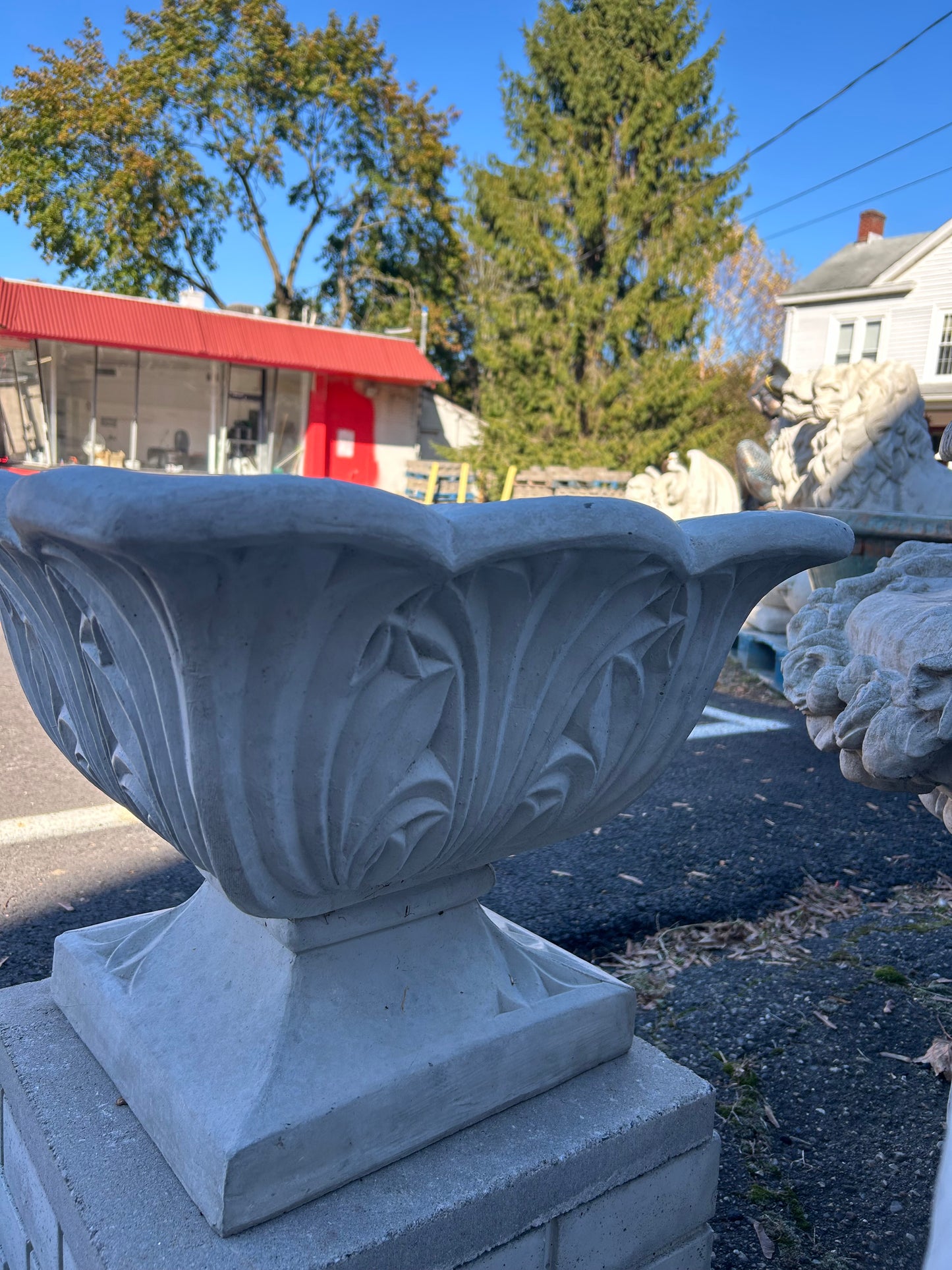 Medium Canadian Planter