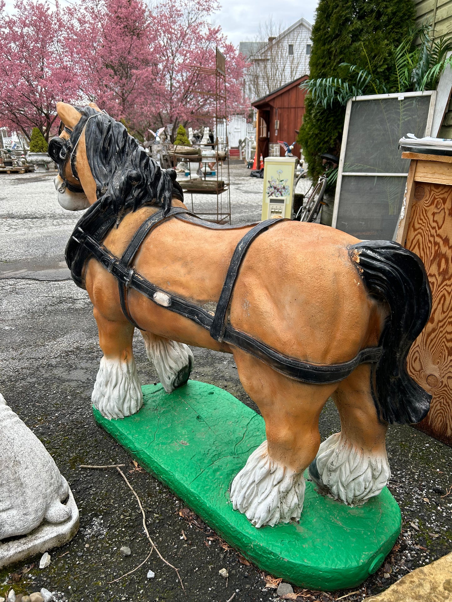 Clydesdale Horse