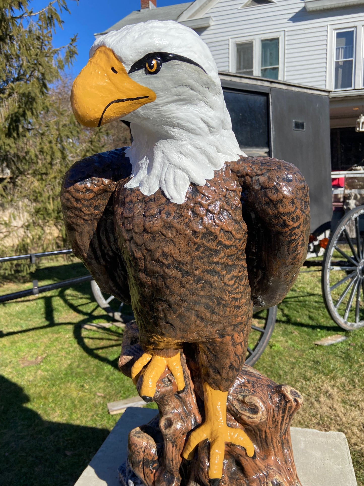 Large Eagle on Stump