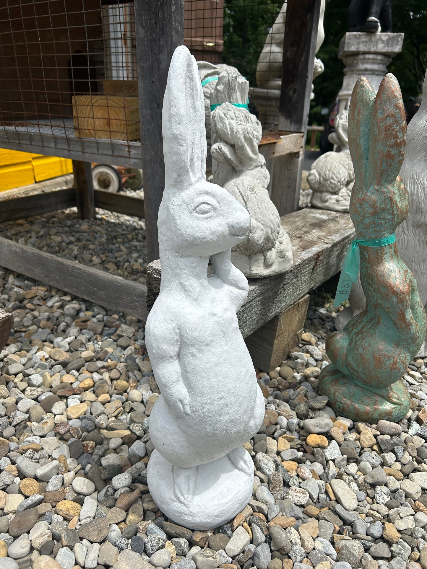 Silly Rabbit