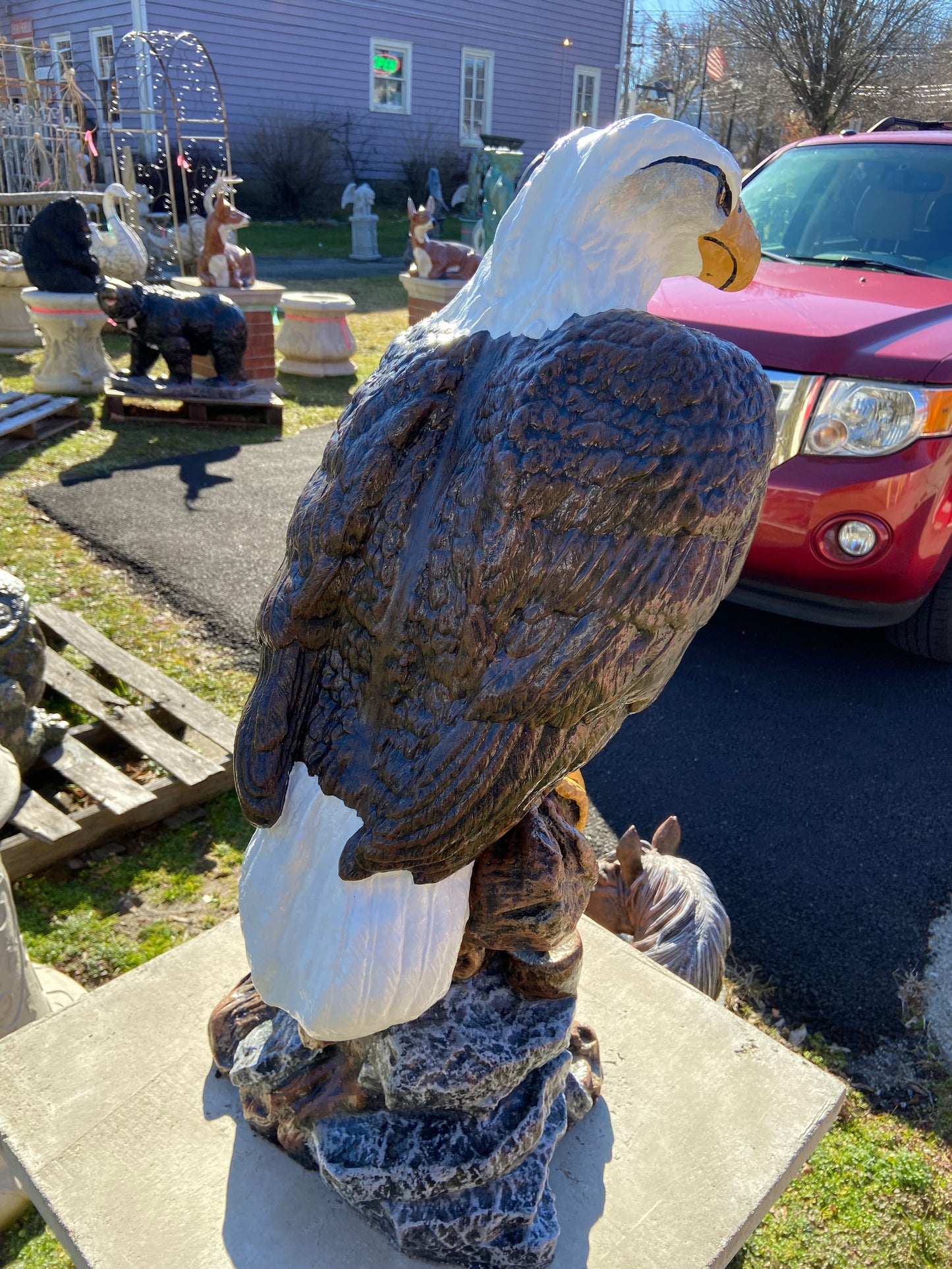Large Eagle on Stump
