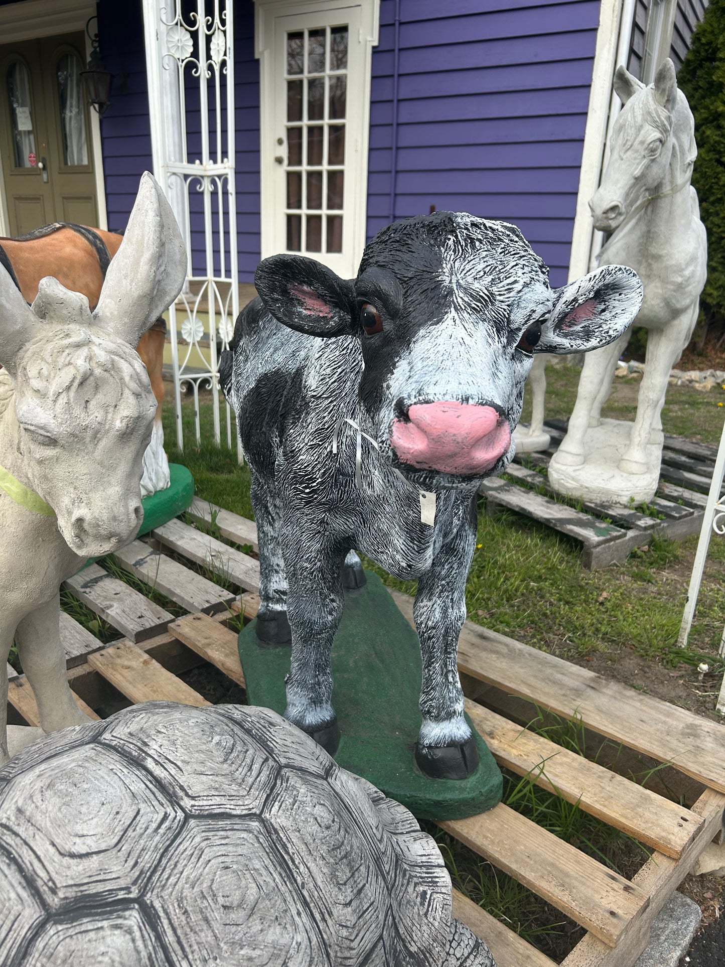 Large Standing Cow