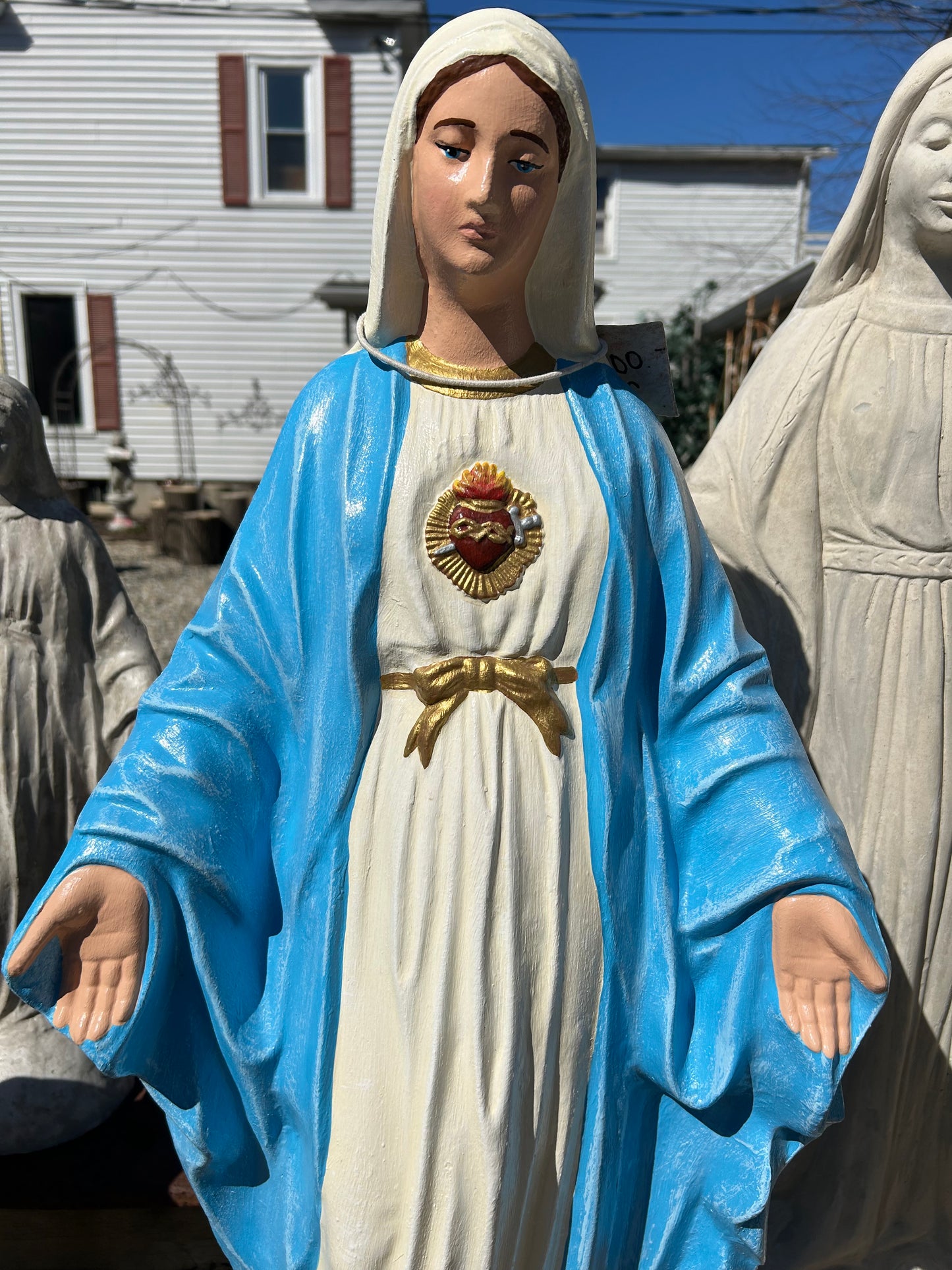 Sacred Heart Madonna