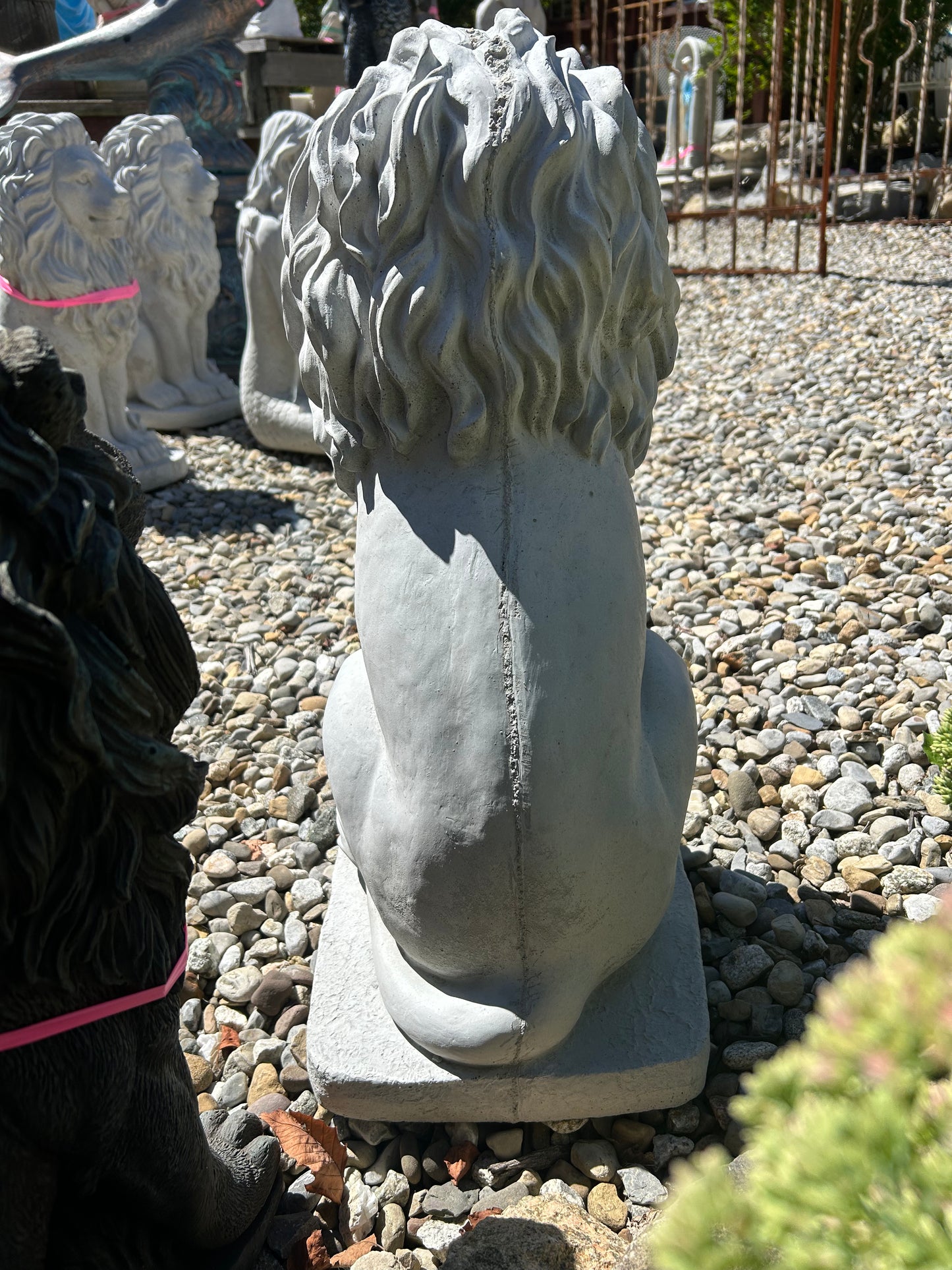 Sitting Lion 24"