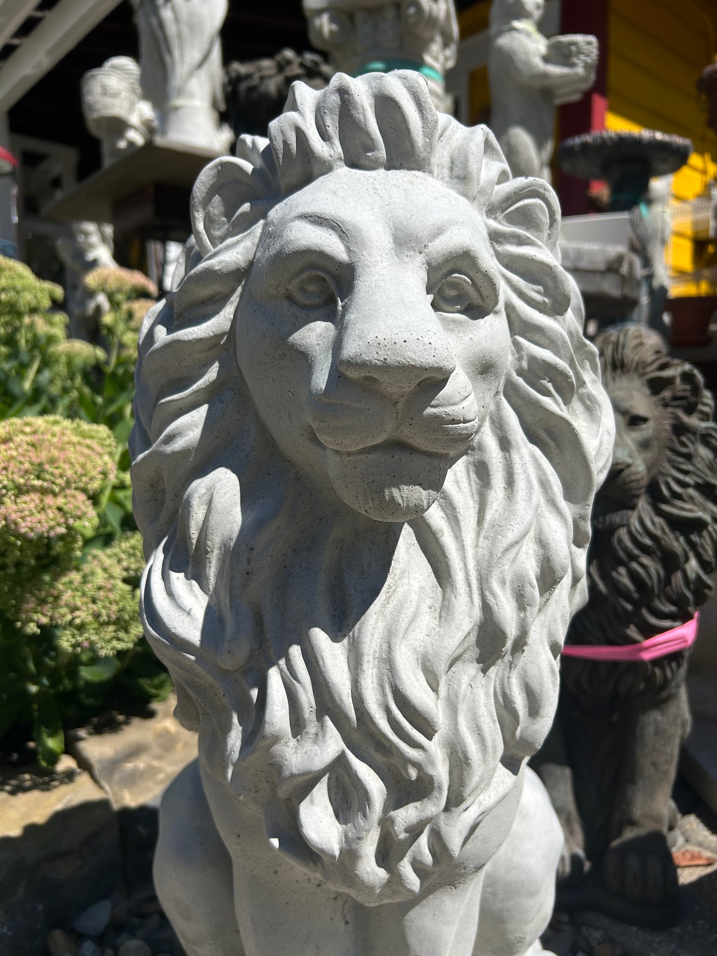 Sitting Lion 24"