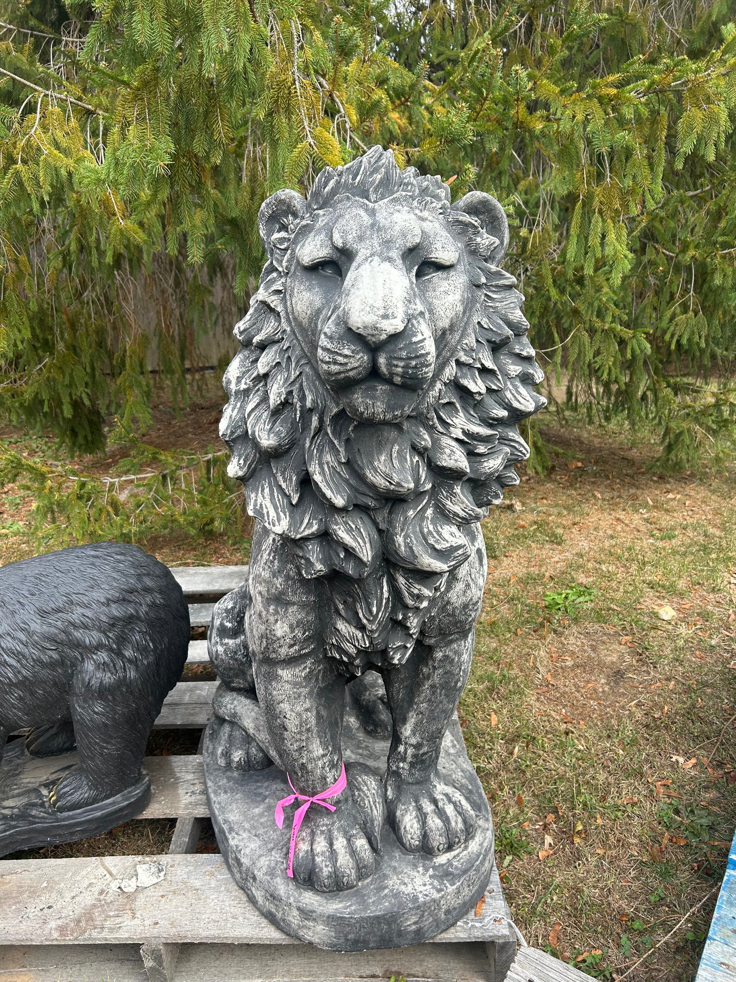 Estate Lion