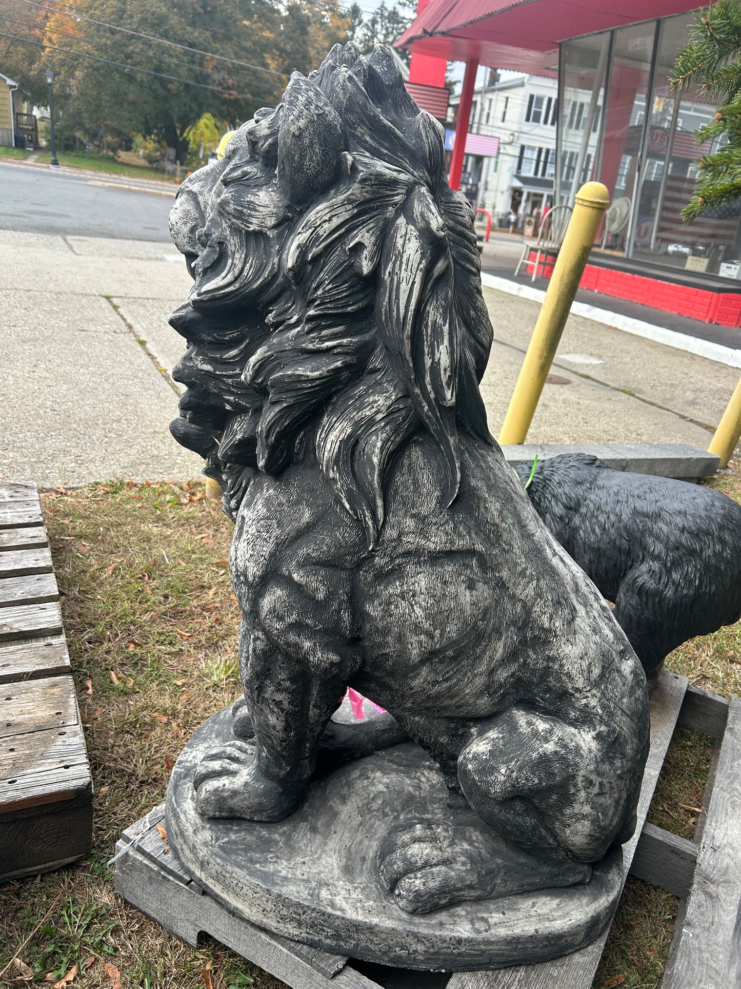 Estate Lion