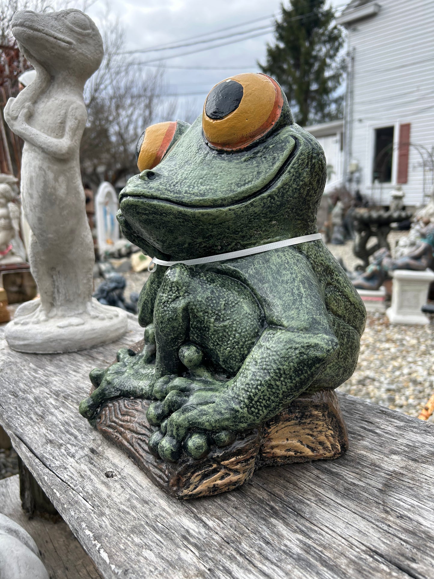 Big Eyed Frog Statue