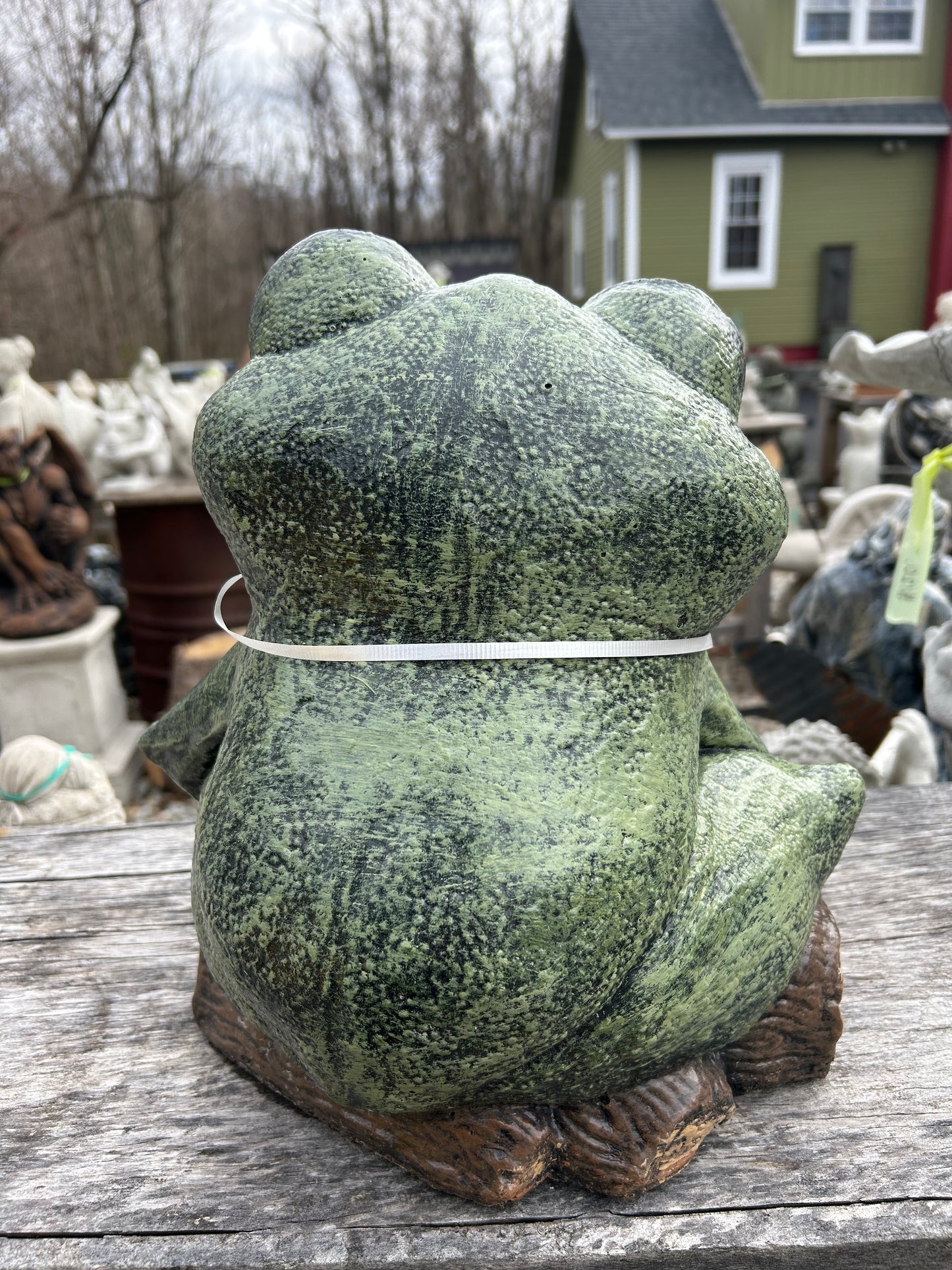 Big Eyed Frog Statue