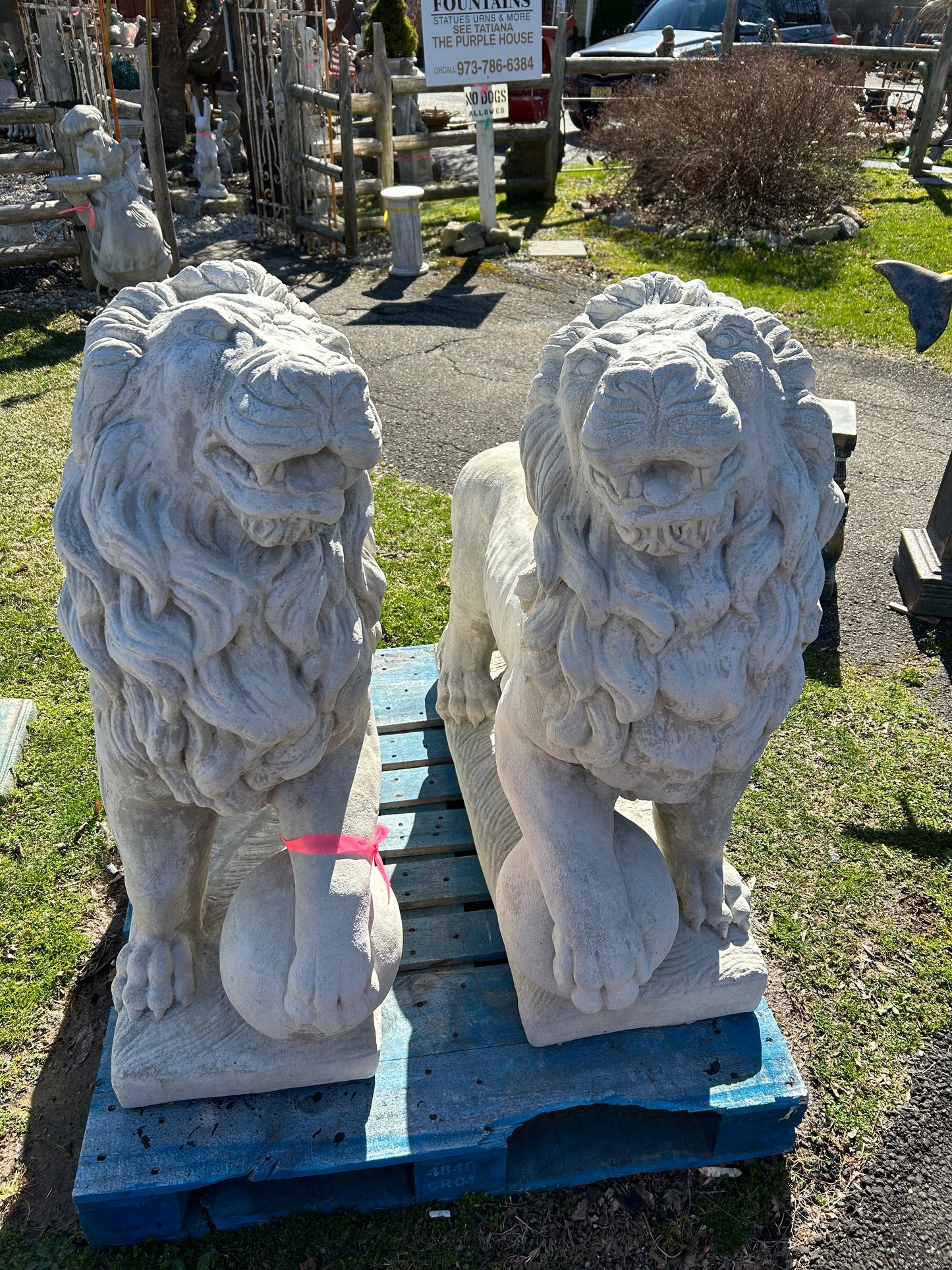 Extra Large Lions with Ball Pair (Right/Left)