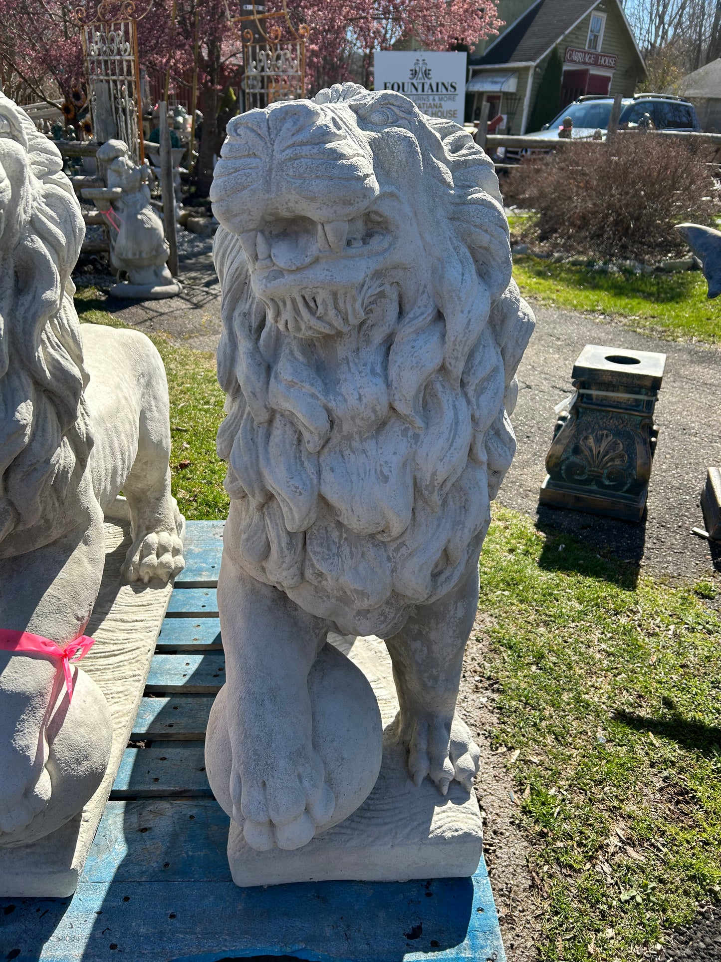 Extra Large Lions with Ball Pair (Right/Left)