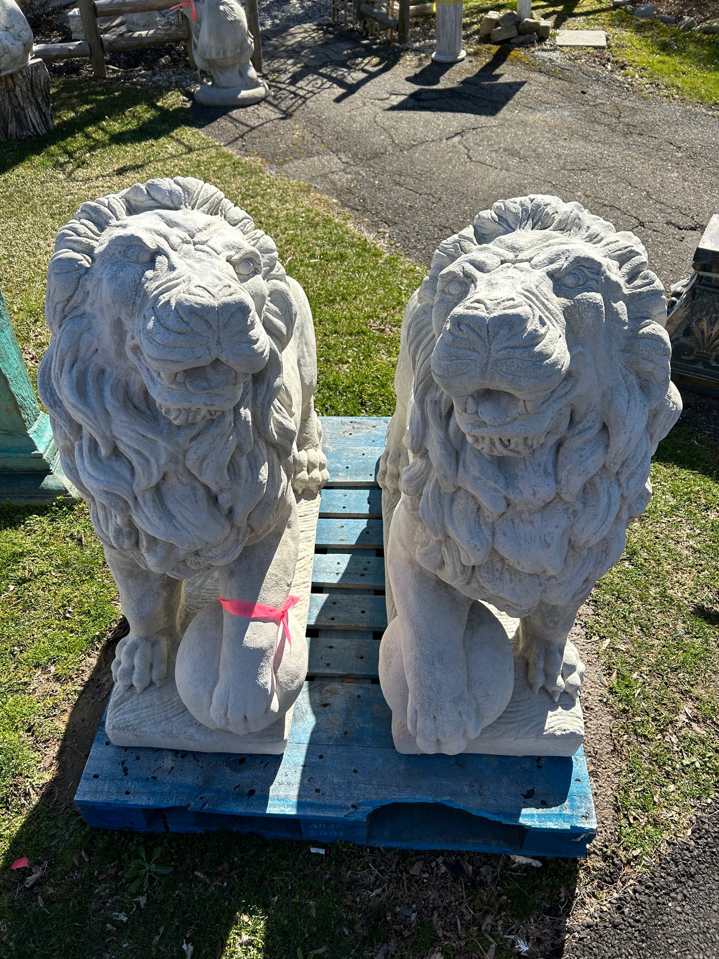 Extra Large Lions with Ball Pair (Right/Left)