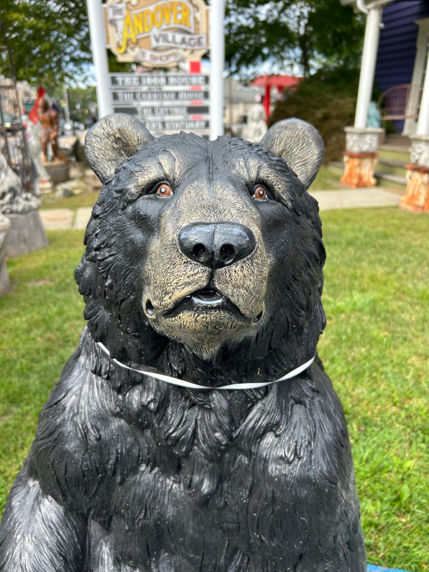 X-Large Sitting Bear