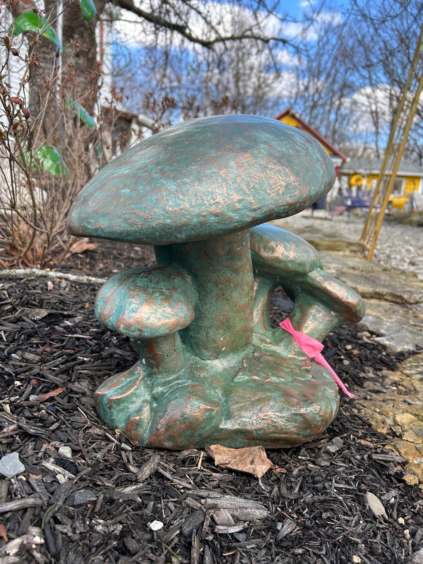 Mushroom Family