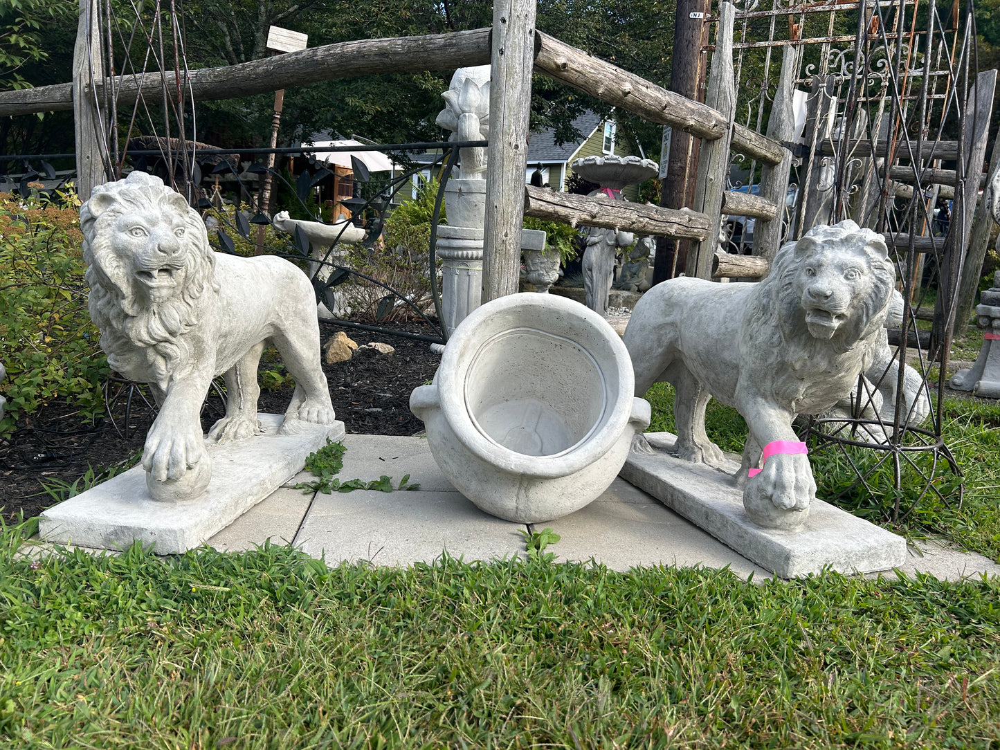 Walking Lions with Ball (Left/Right)