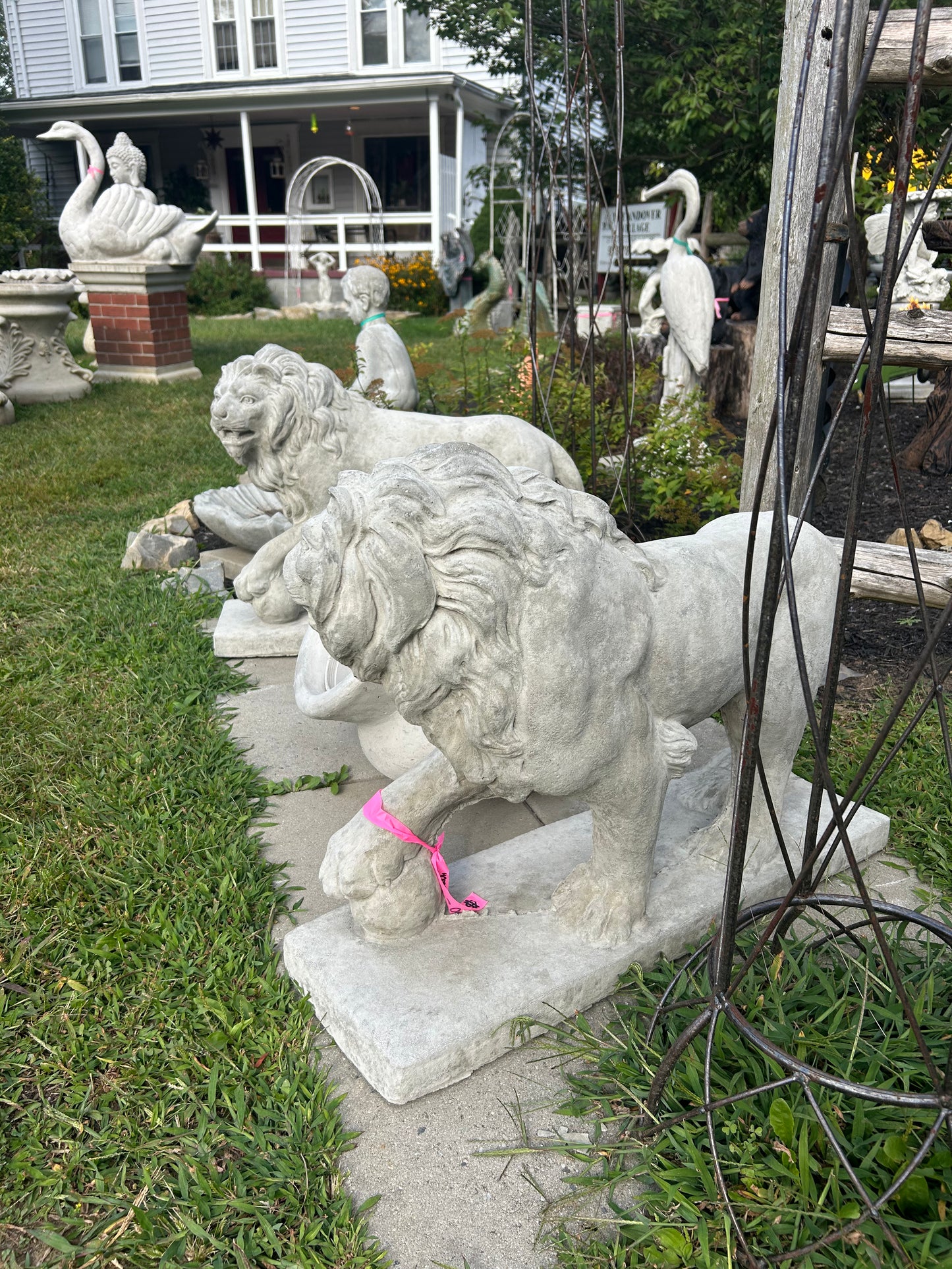 Walking Lions with Ball (Left/Right)