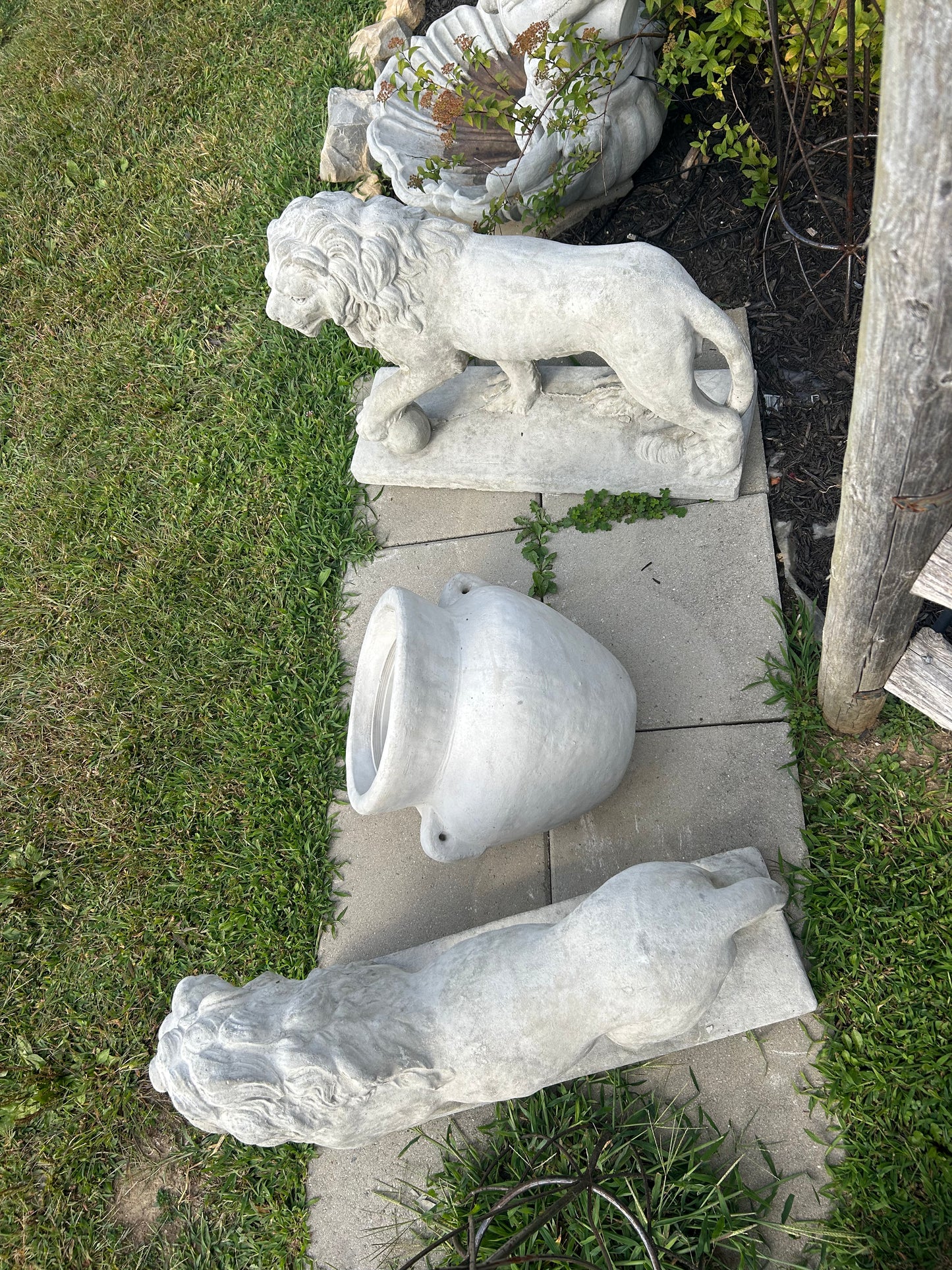 Walking Lions with Ball (Left/Right)