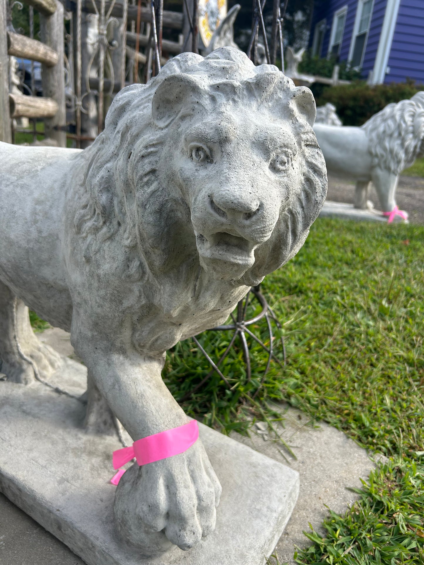 Walking Lions with Ball (Left/Right)