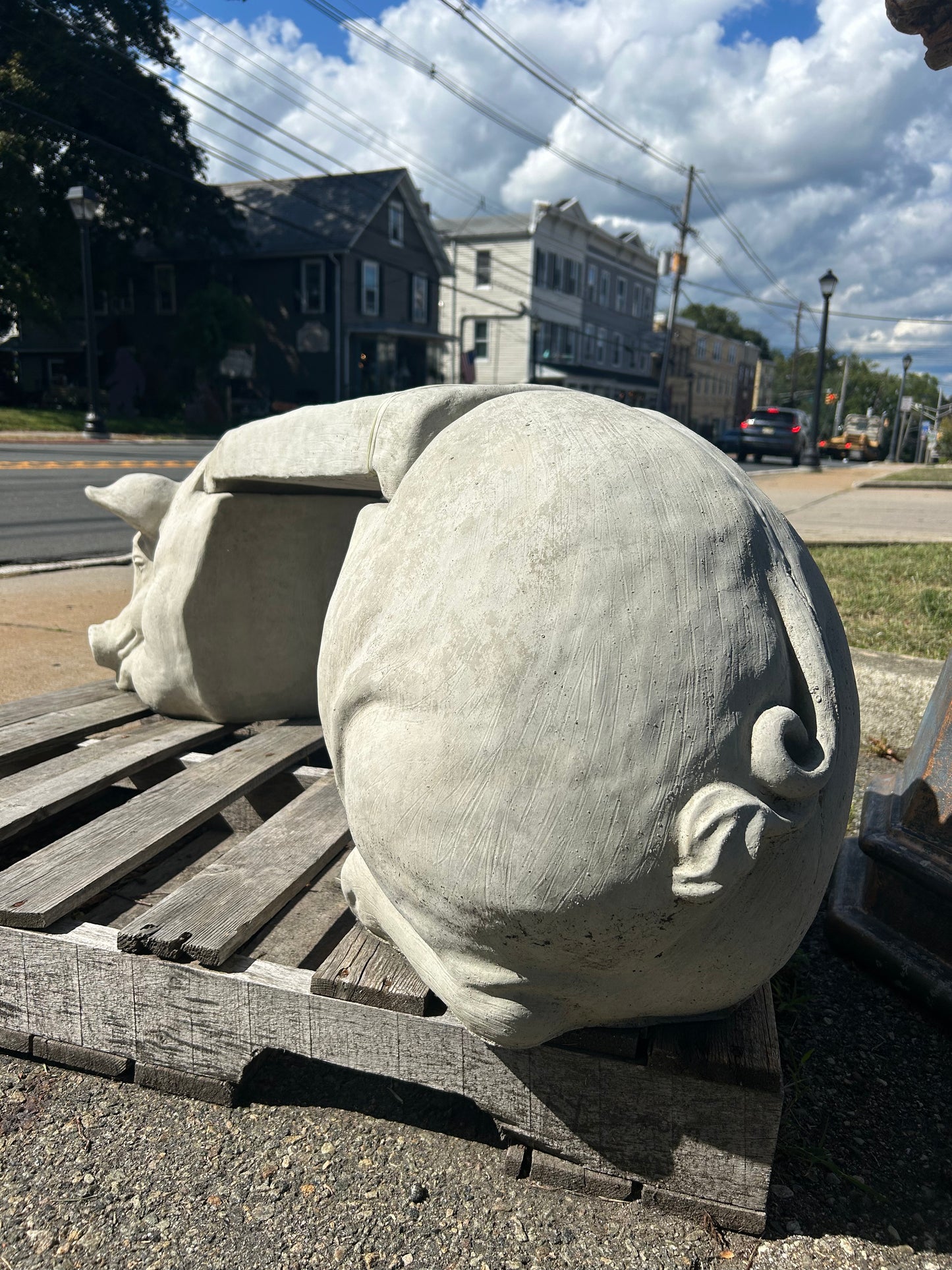 Pig Bench