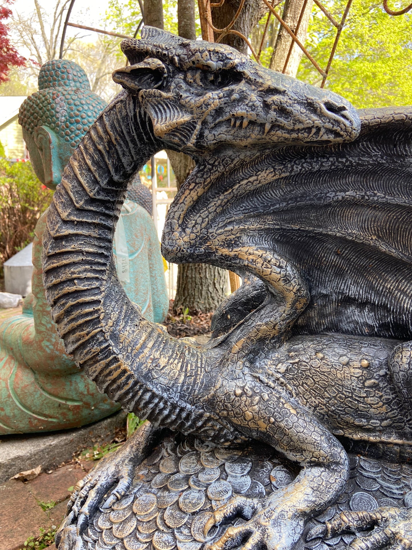 Hidden Treasure Dragon