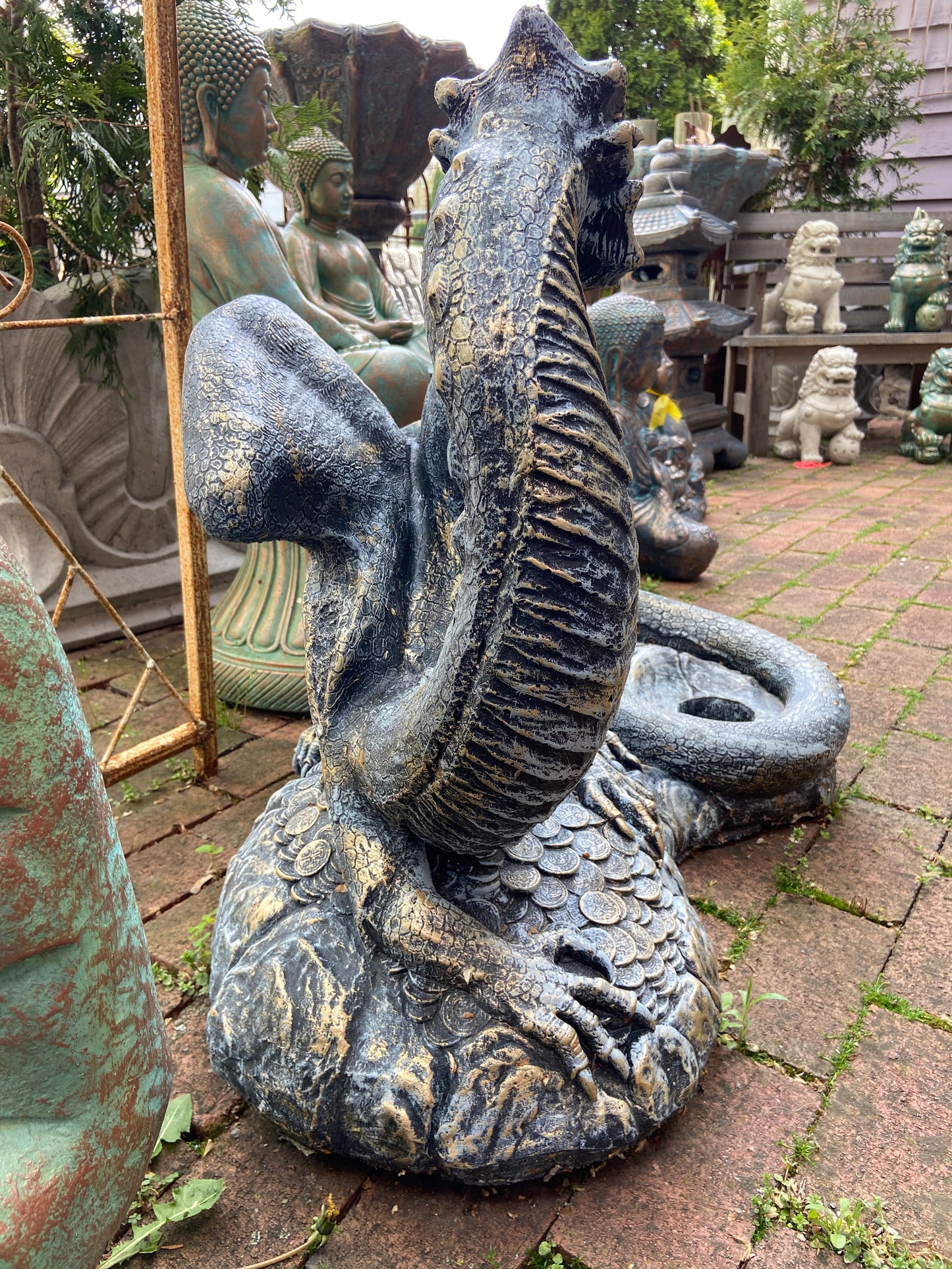 Hidden Treasure Dragon