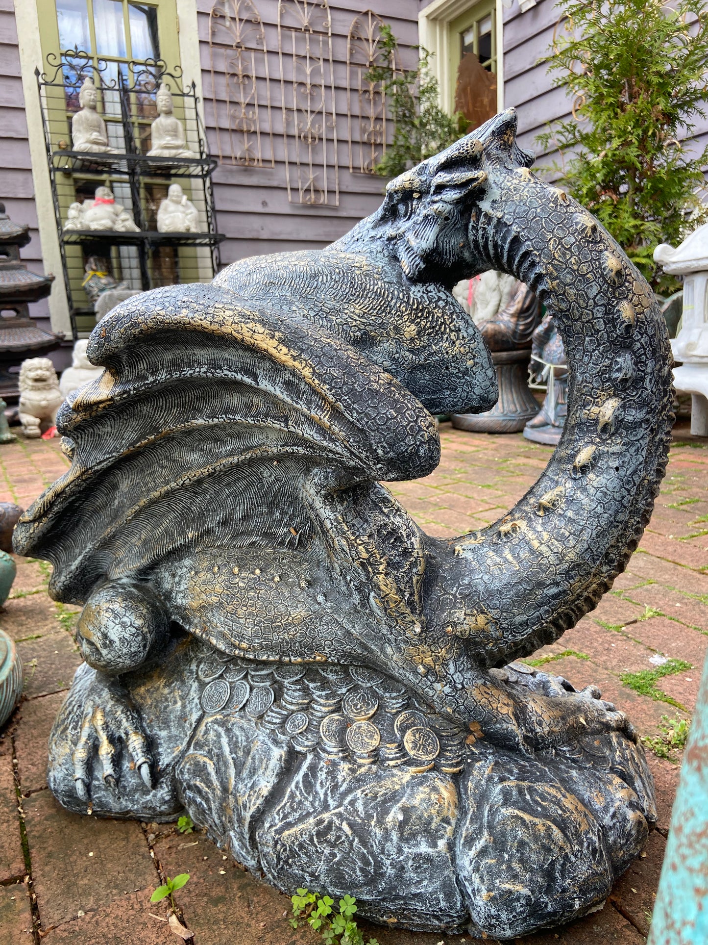 Hidden Treasure Dragon