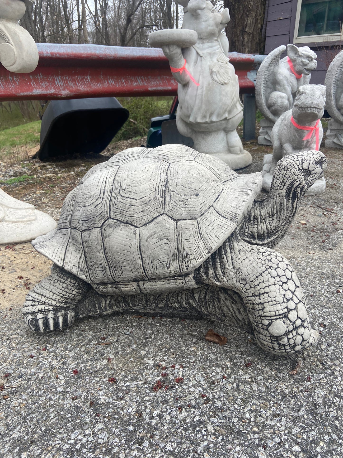 Large Walking Tortoise