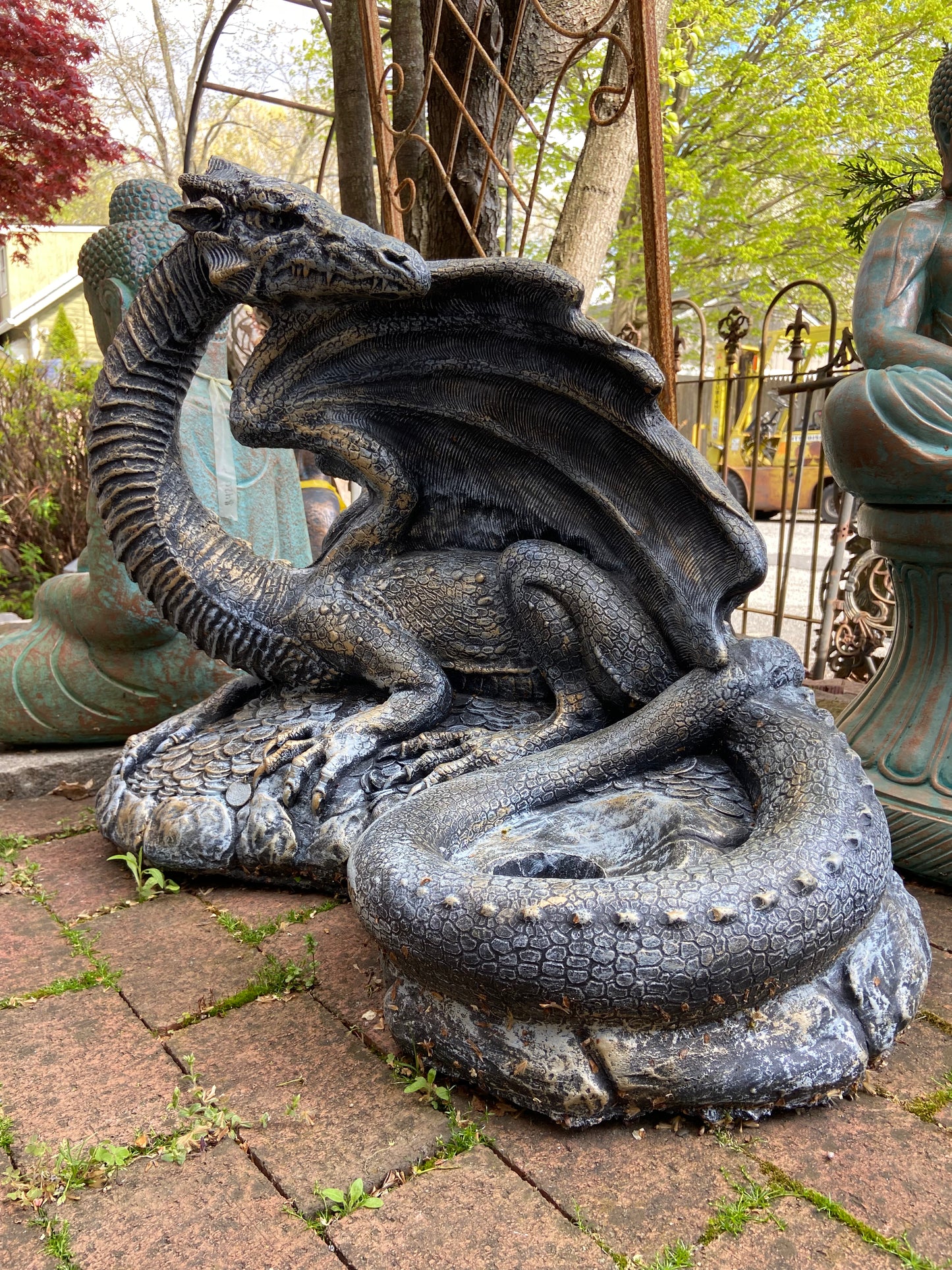 Hidden Treasure Dragon