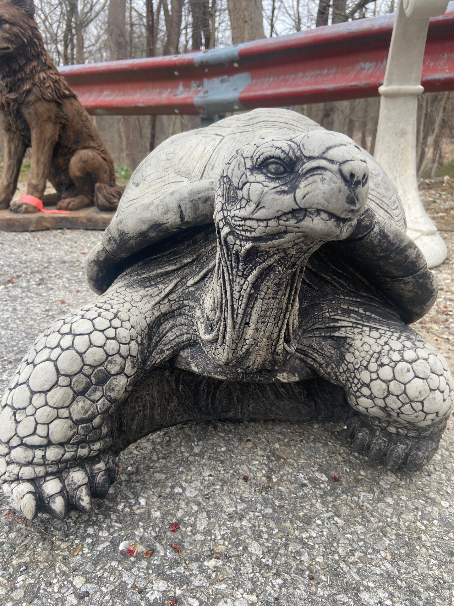 Large Walking Tortoise